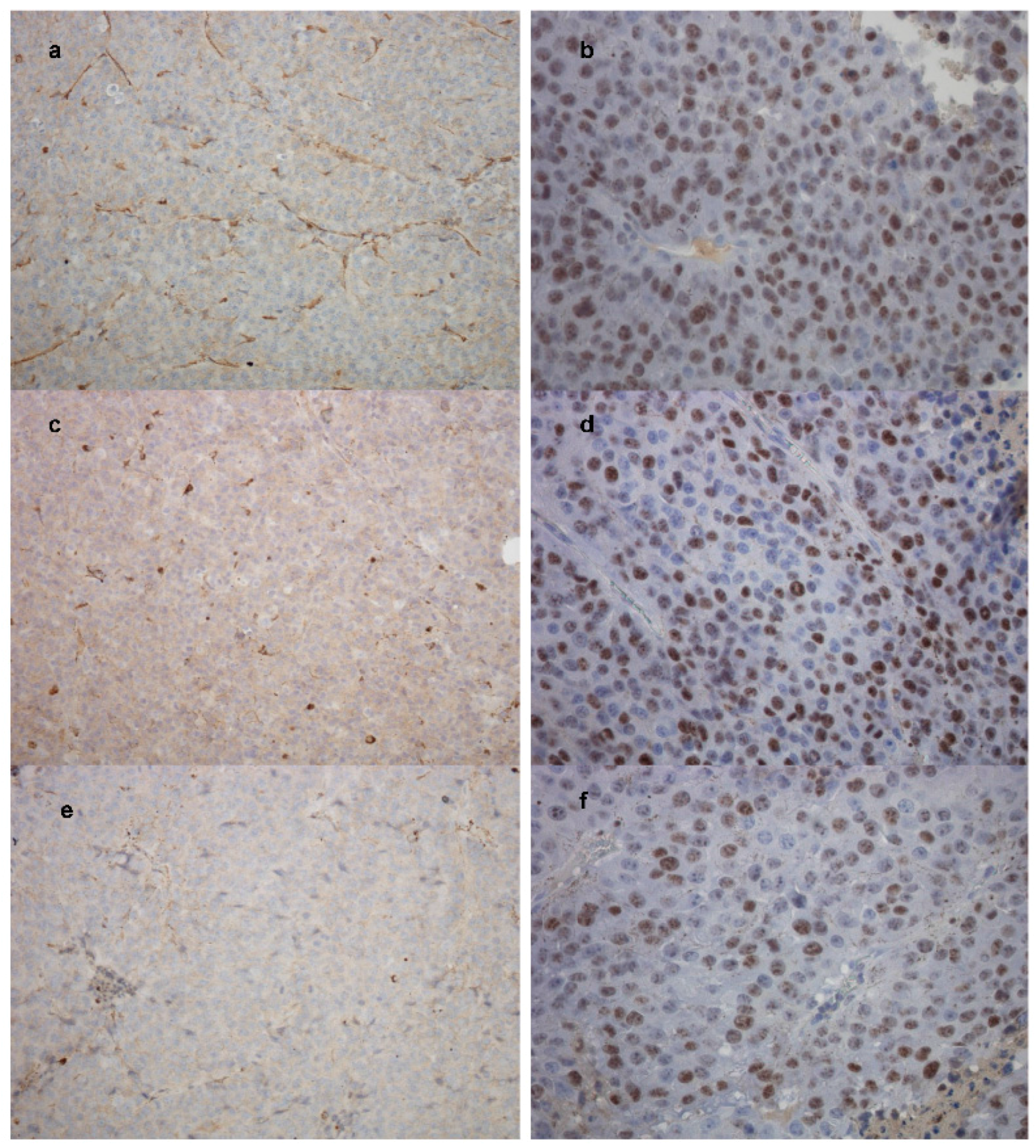 Ijms 19 00255 g011 550