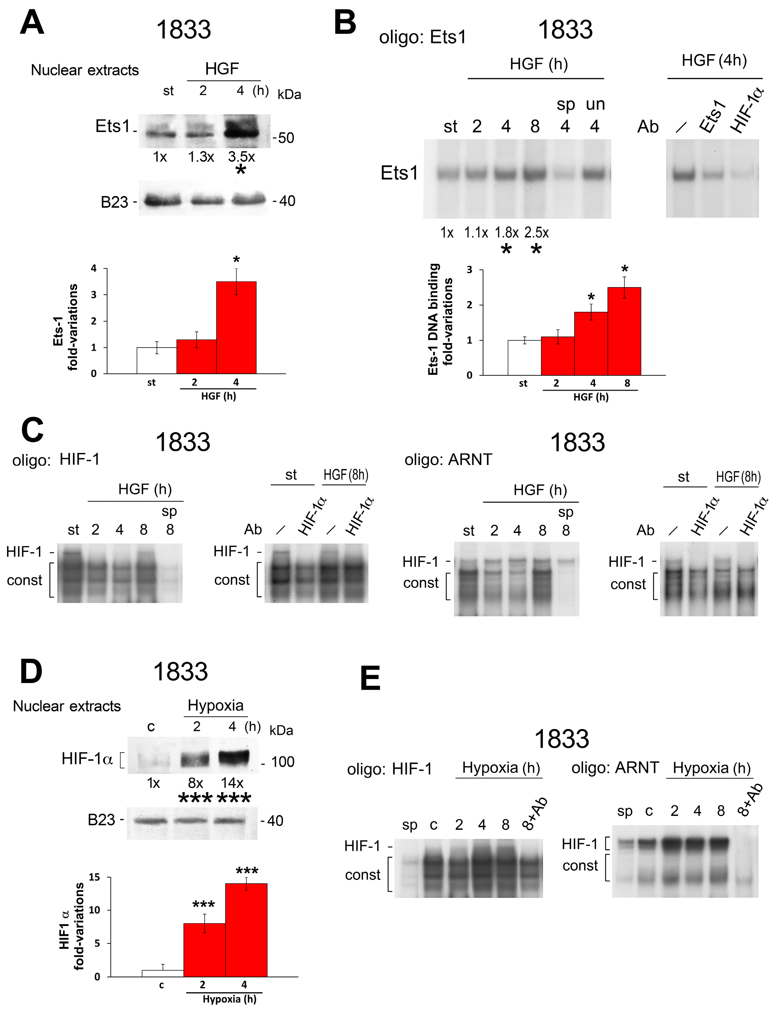 Ijms 19 00258 g005