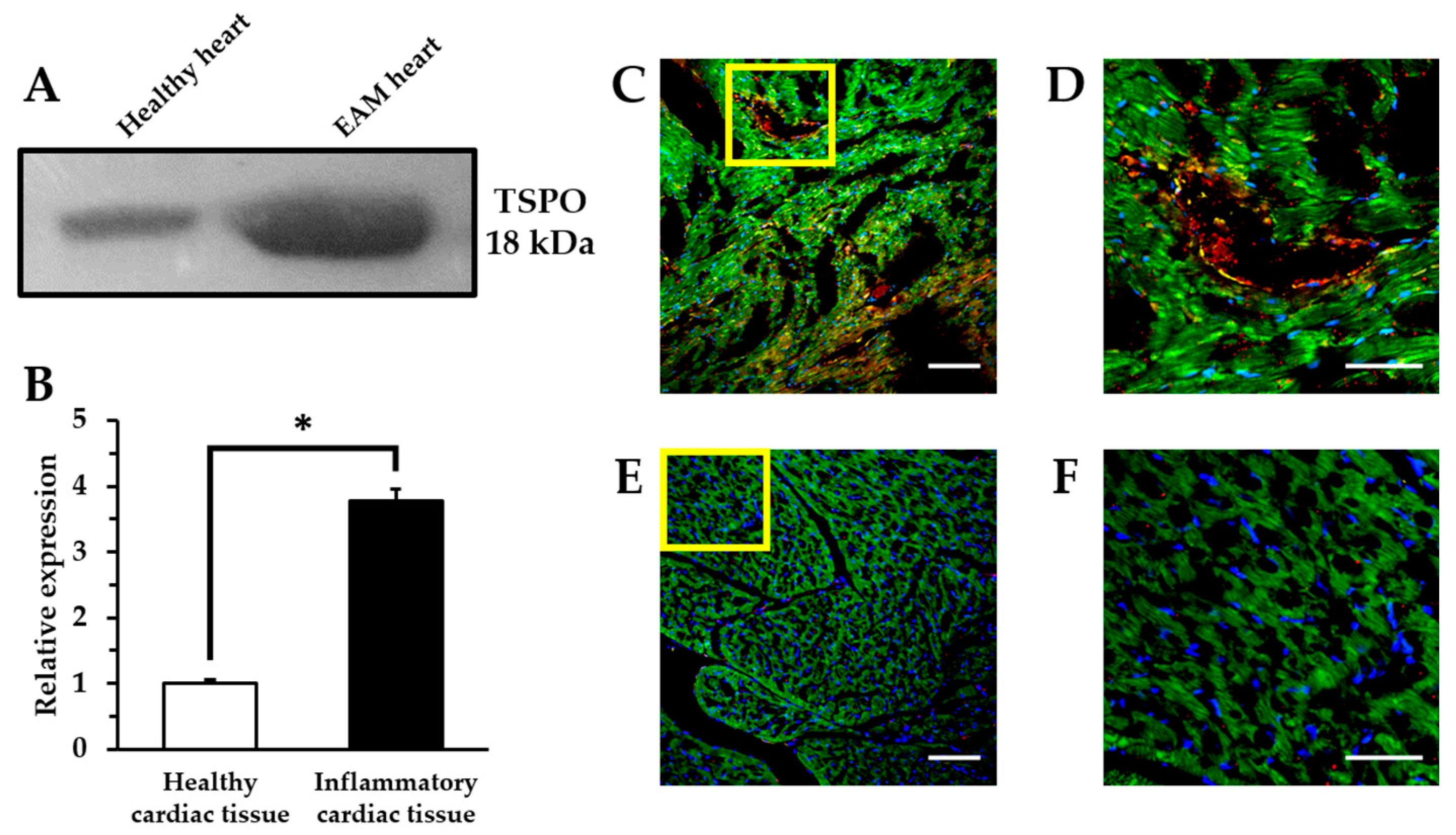 Ijms 19 00276 g004