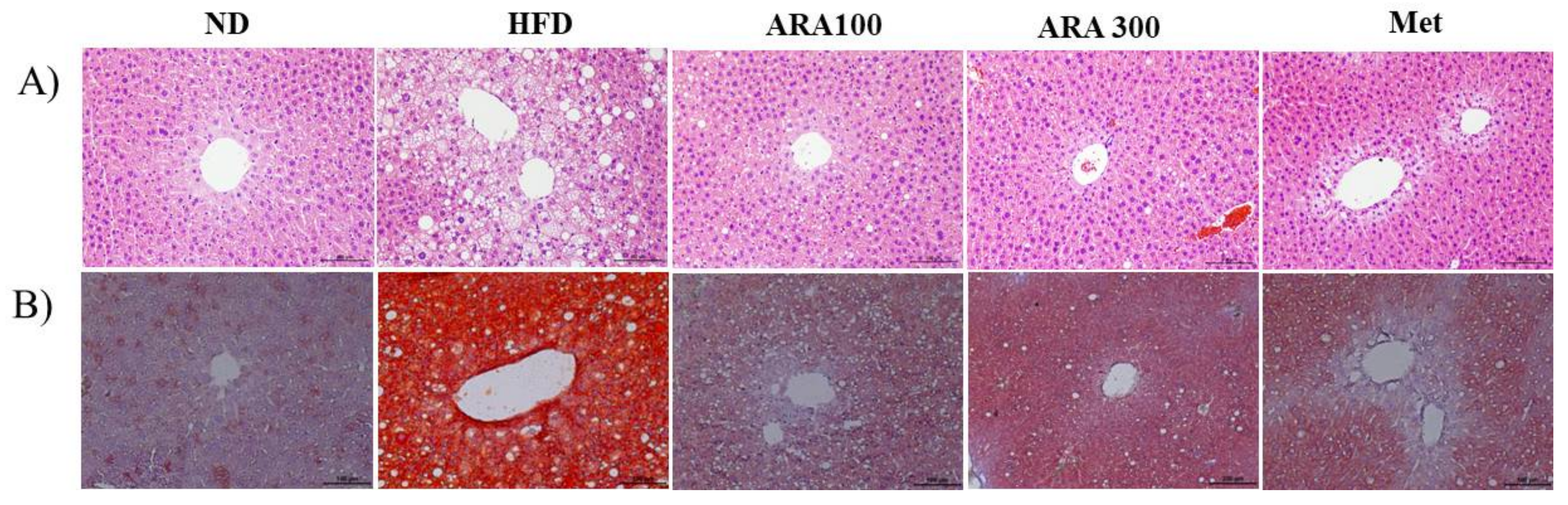 Ijms 19 00278 g003 Ijms 19 00278 g003