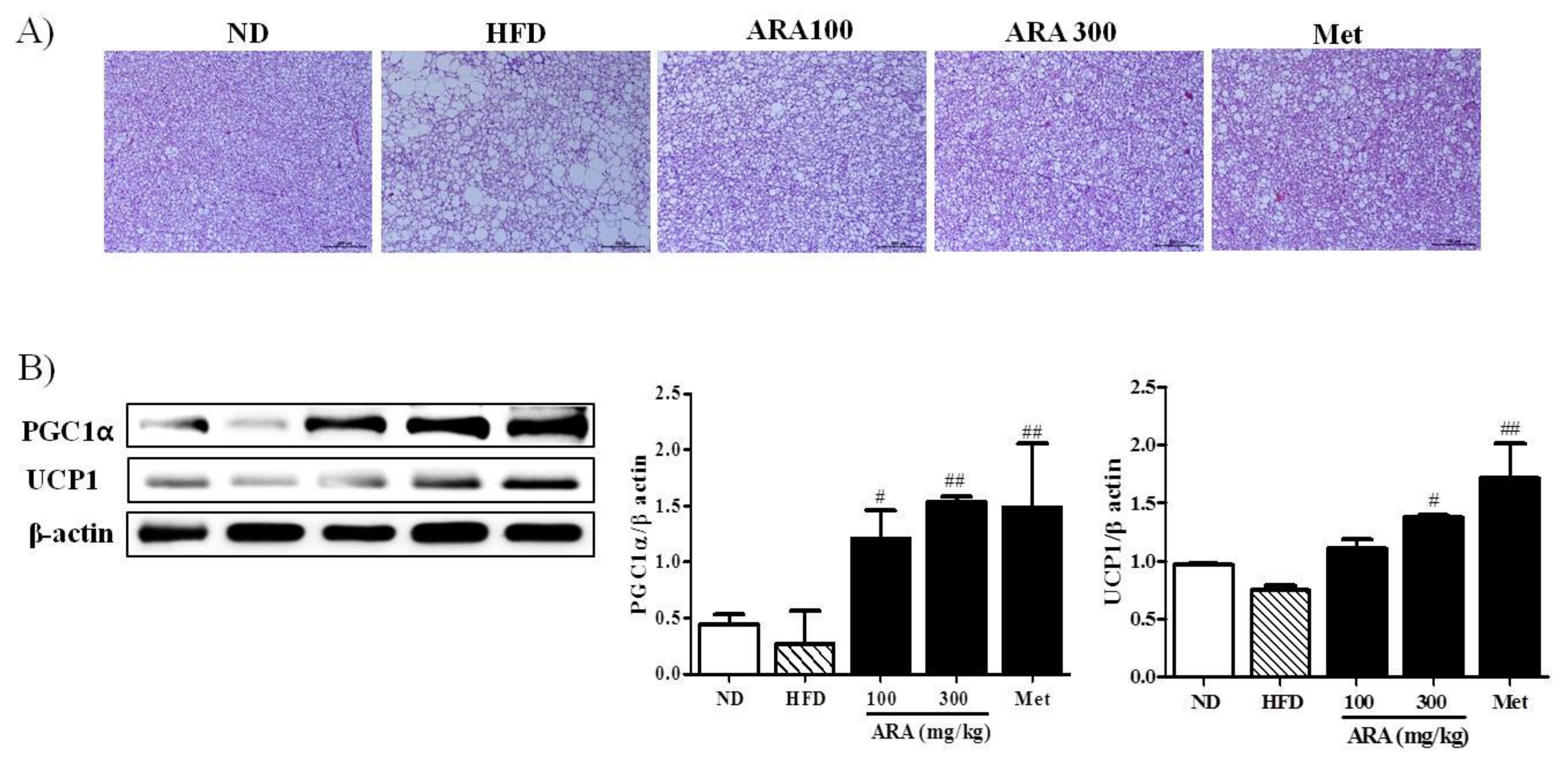 Ijms 19 00278 g005 Ijms 19 00278 g005