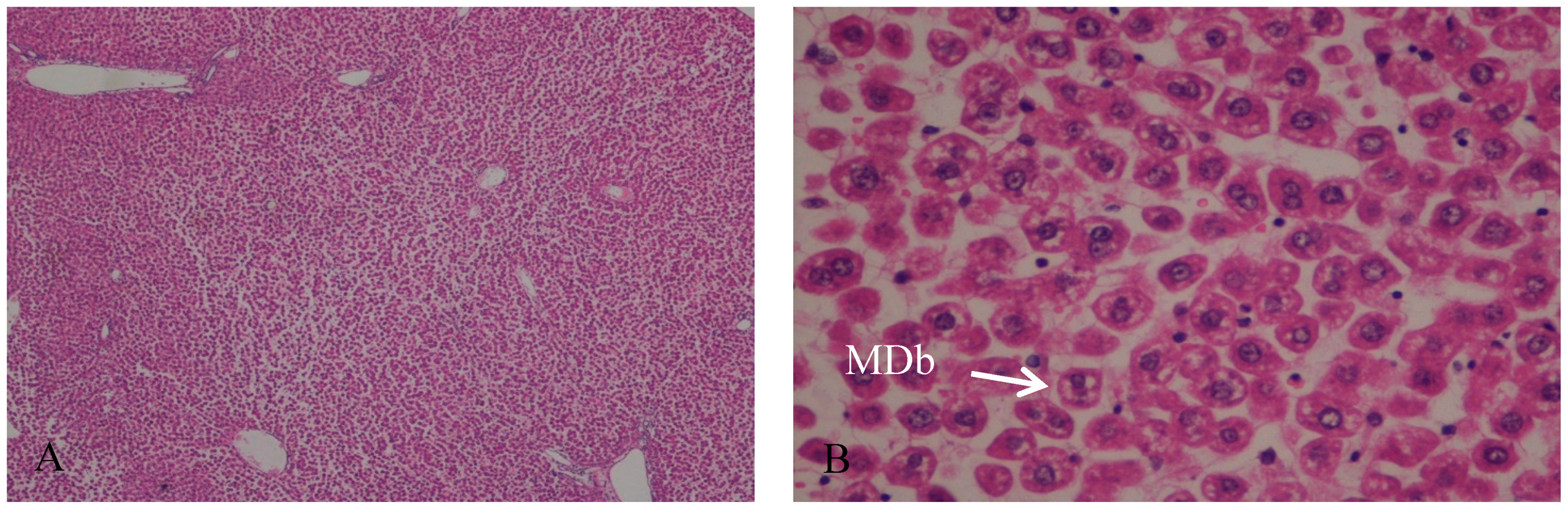 Ijms 19 00284 g001 Ijms 19 00284 g001