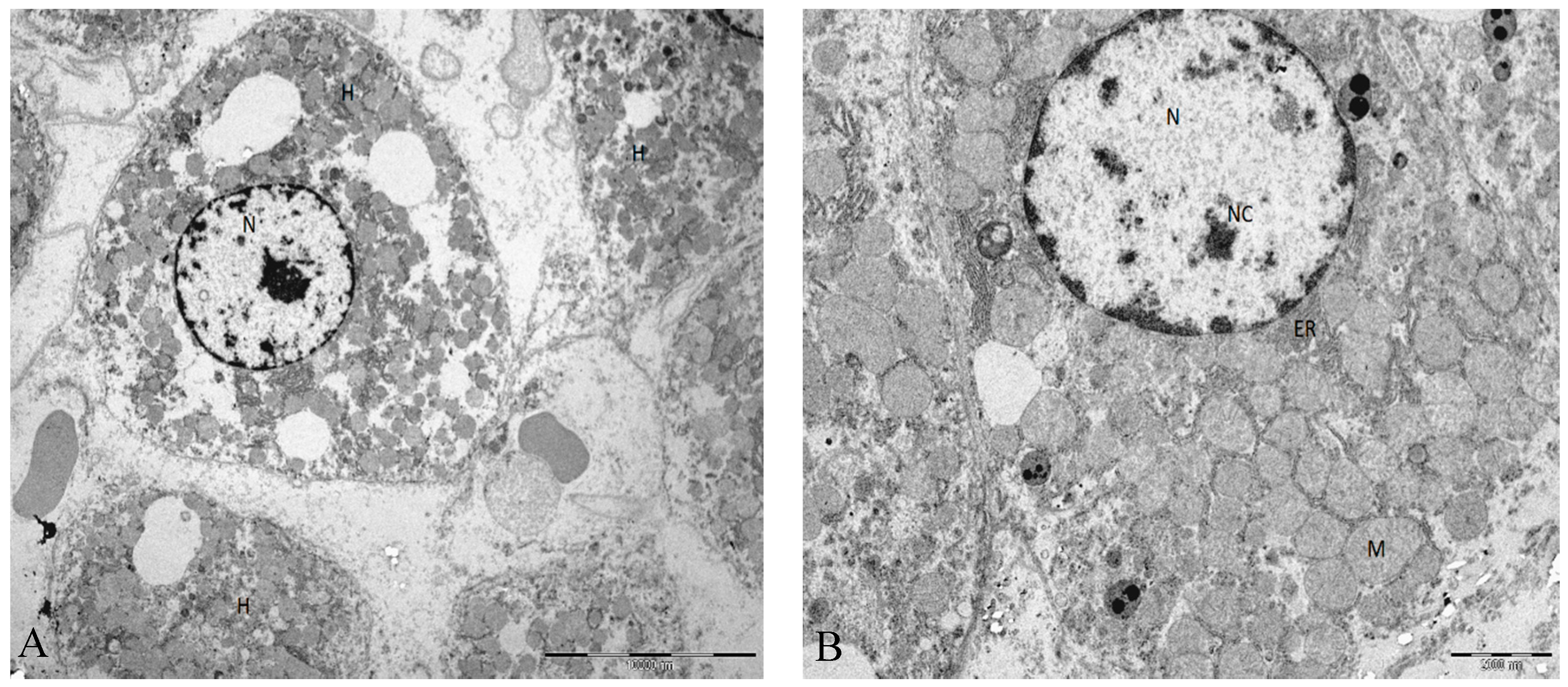 Ijms 19 00284 g002 Ijms 19 00284 g002