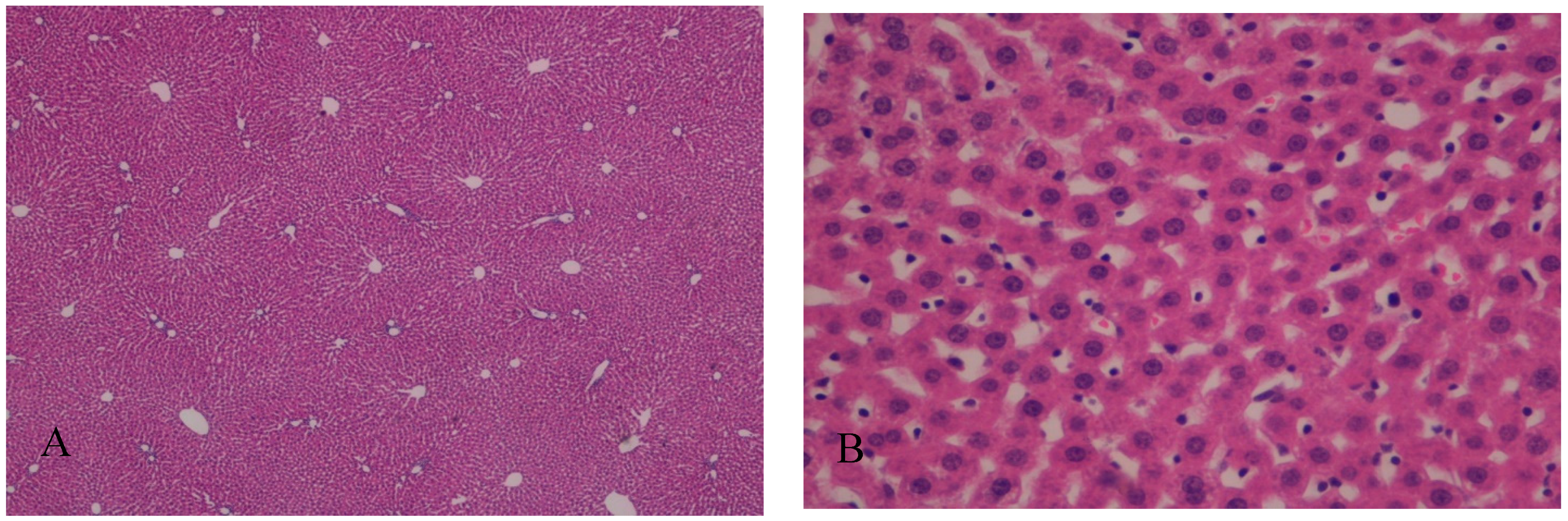 Ijms 19 00284 g003 Ijms 19 00284 g003