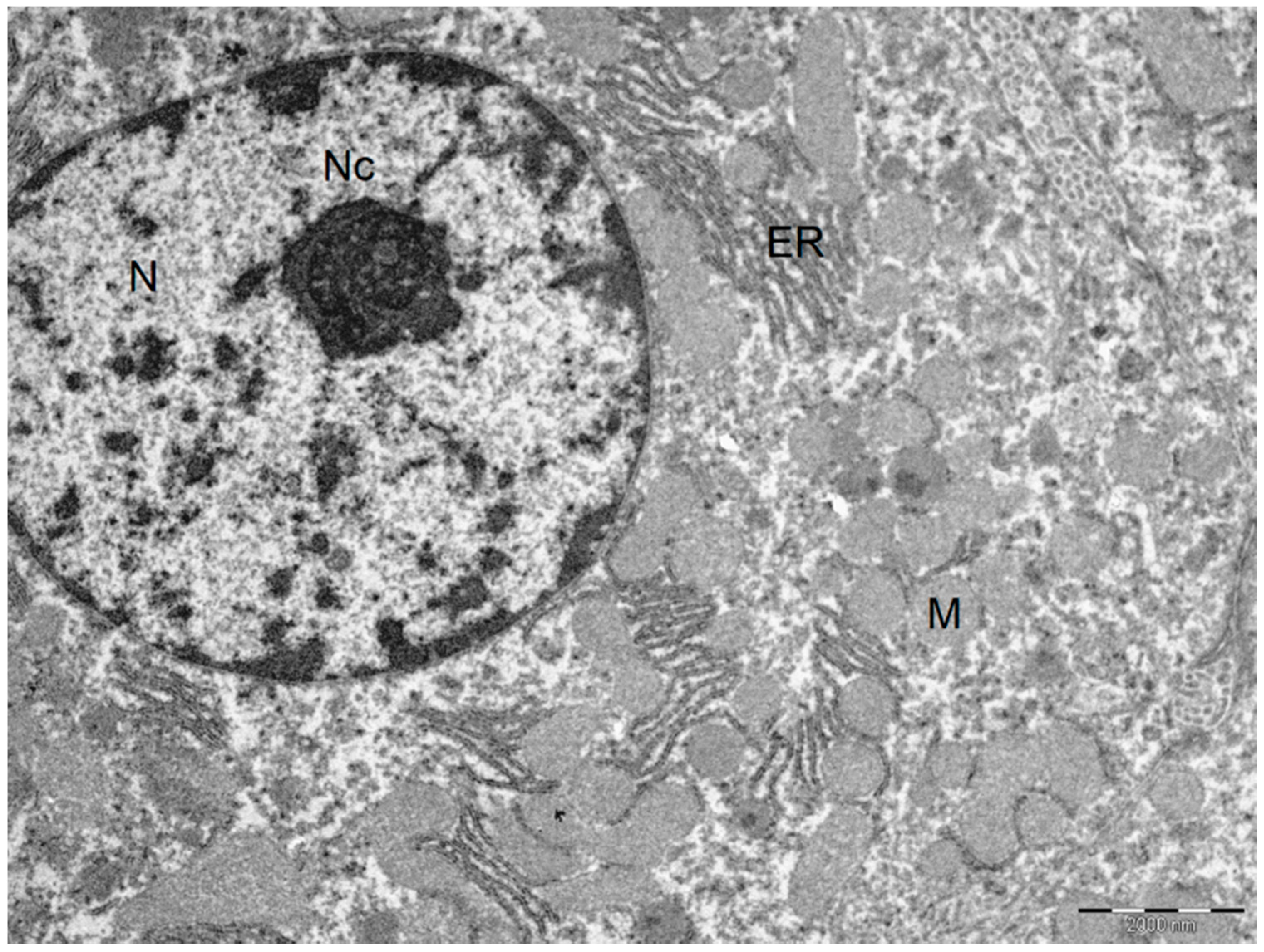 Ijms 19 00284 g004 Ijms 19 00284 g004