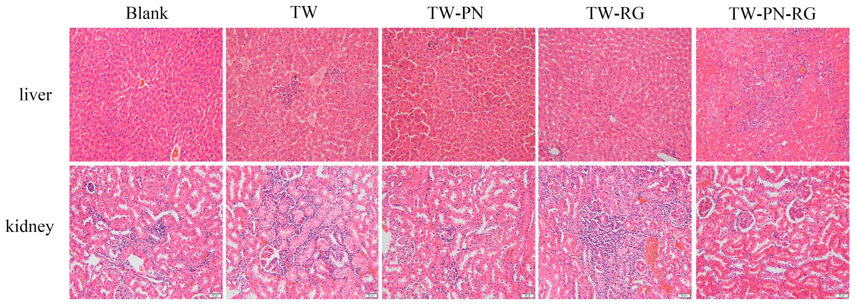 Ijms 19 00305 g002 550
