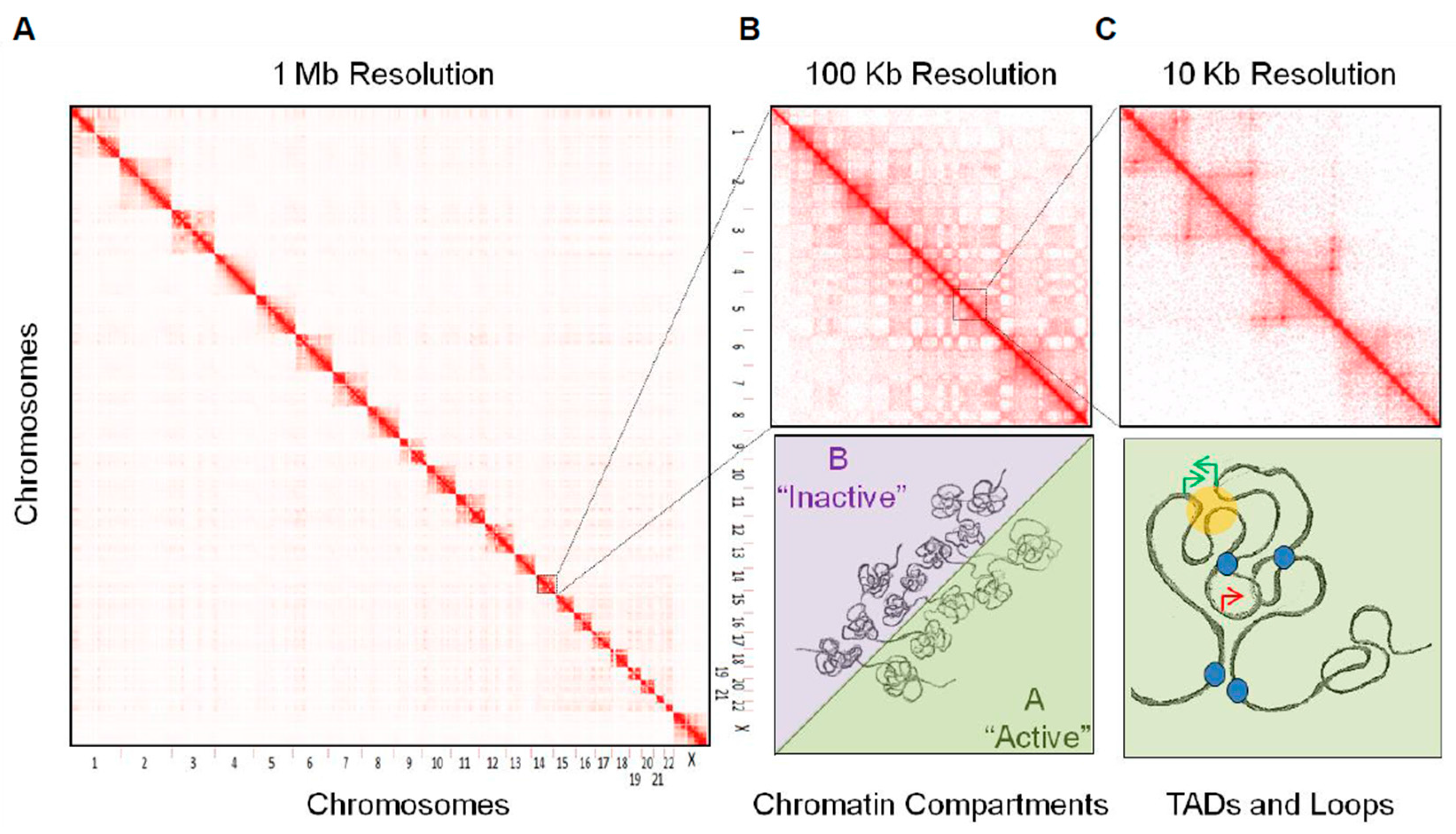 Ijms 19 00306 g001 Ijms 19 00306 g001