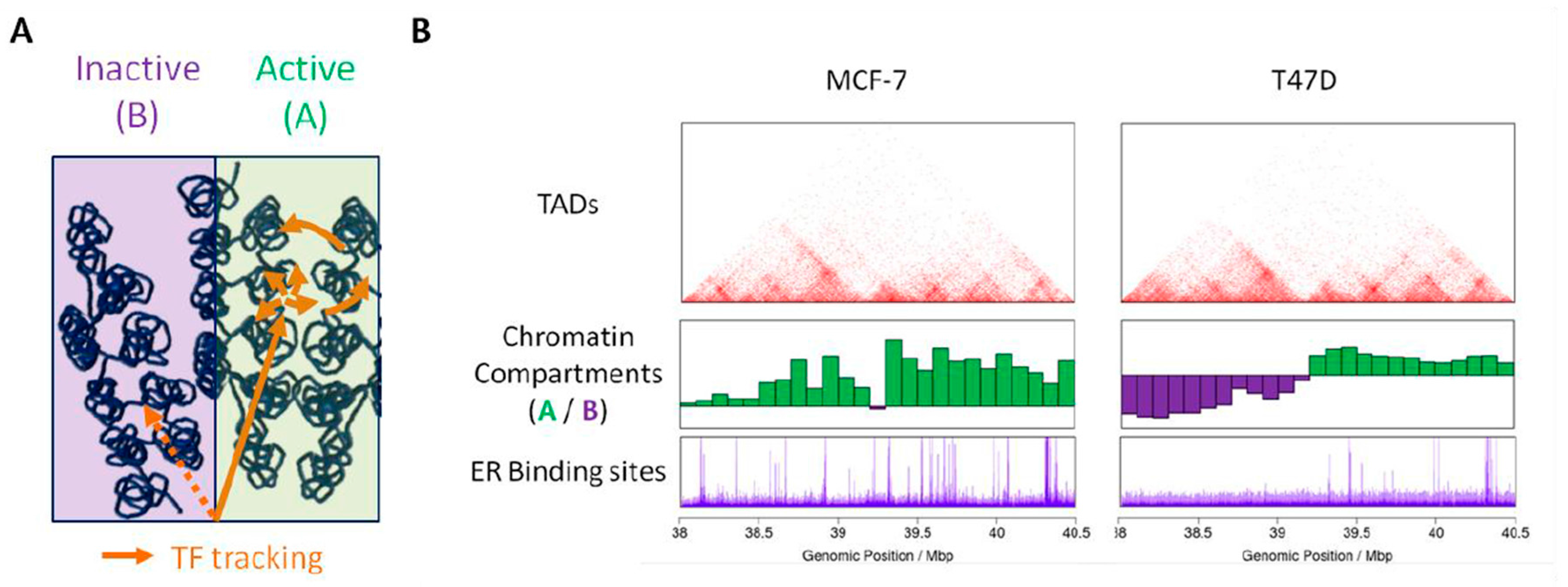 Ijms 19 00306 g002 Ijms 19 00306 g002