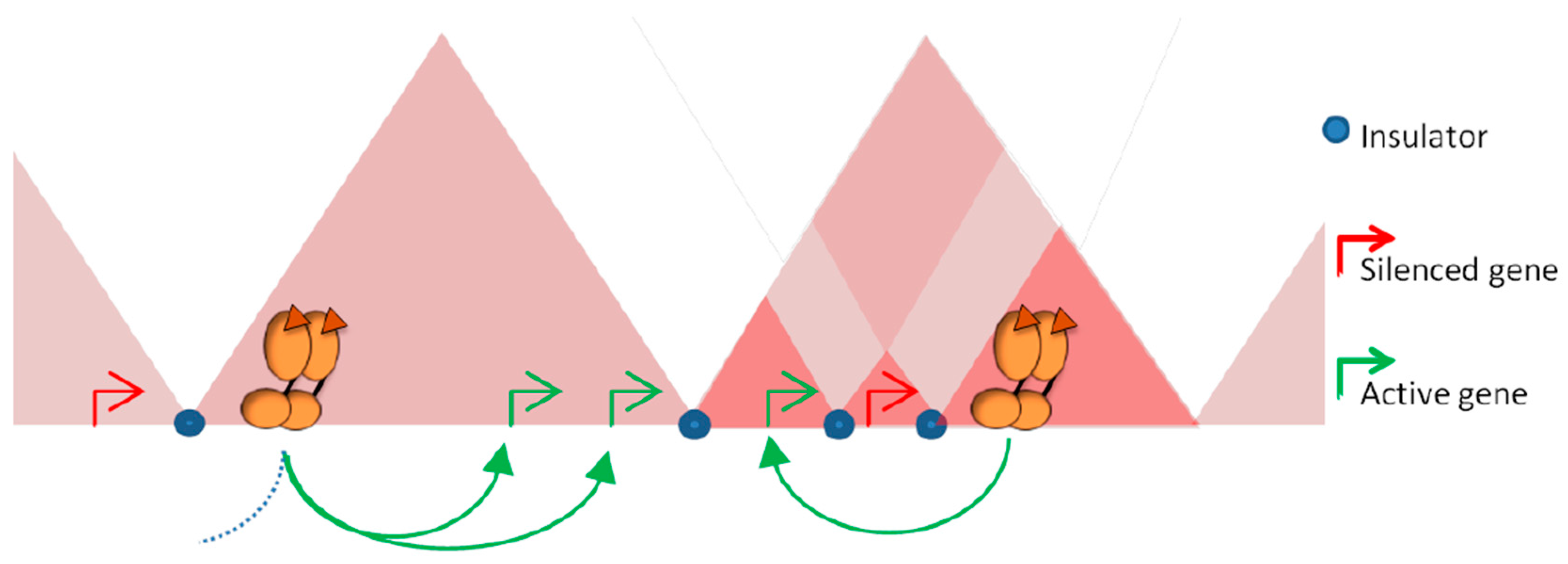 Ijms 19 00306 g003 Ijms 19 00306 g003