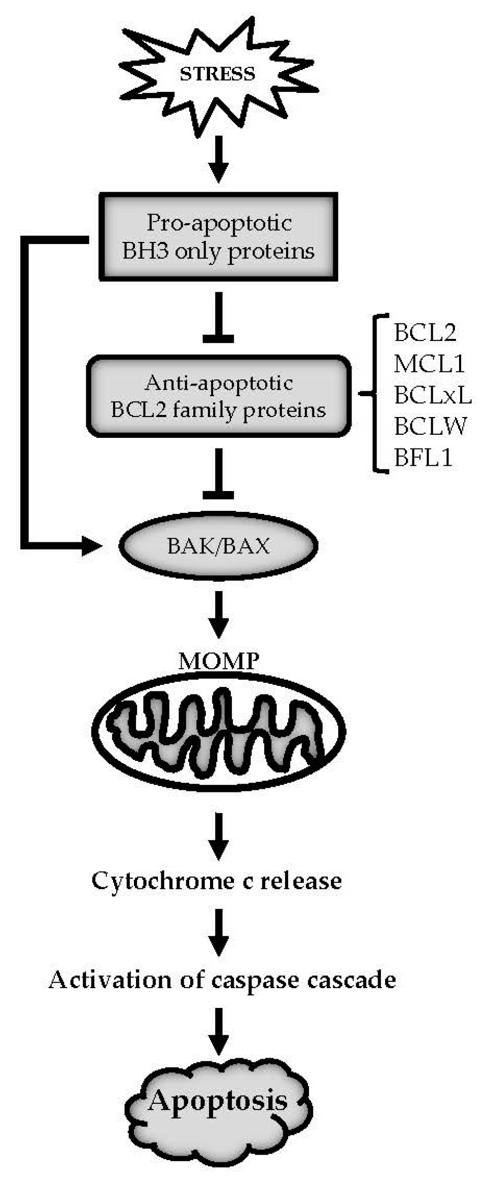 Does Standing Near A Microwave Cause Cancer