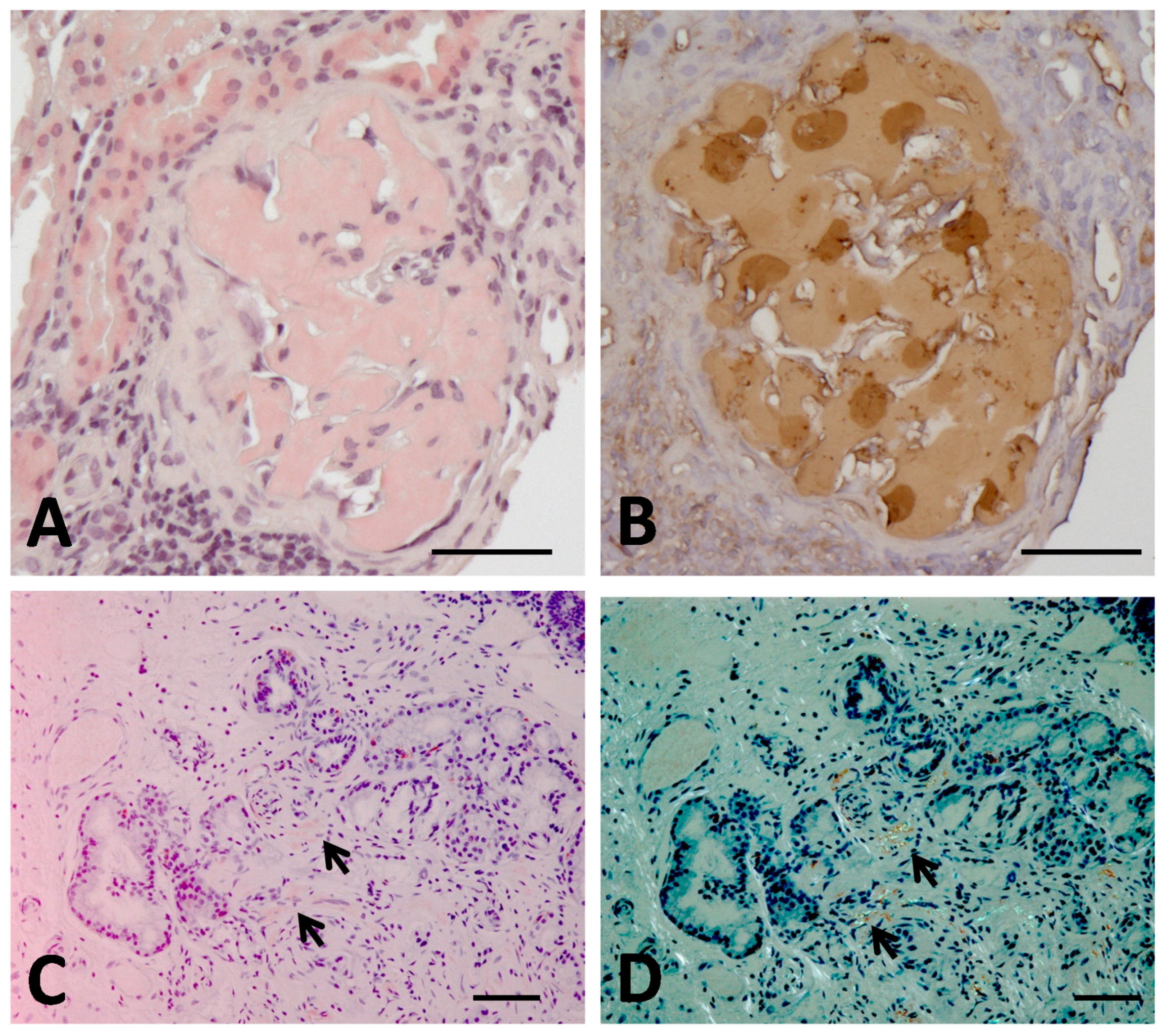 Ijms 19 00320 g001