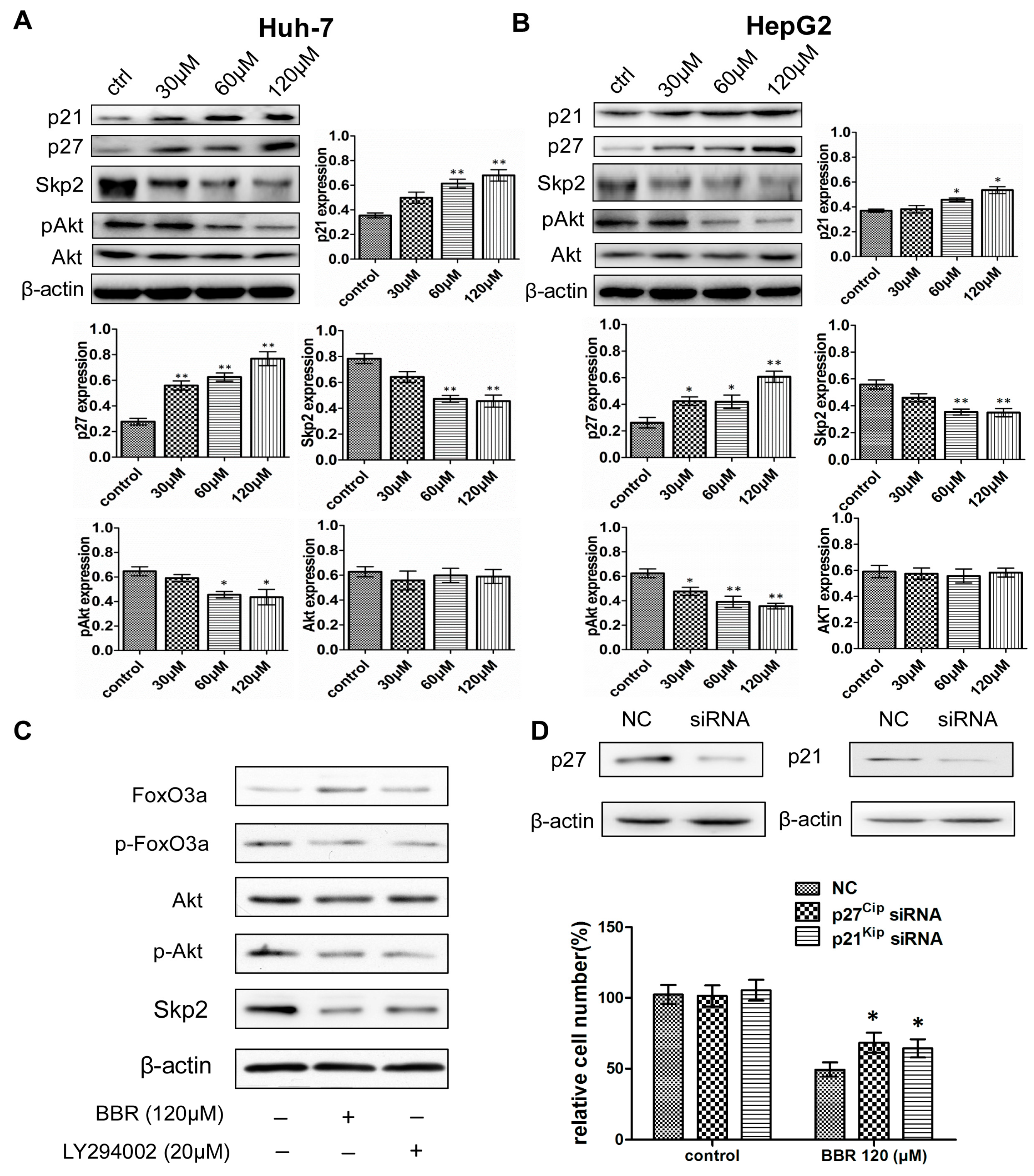 Ijms 19 00327 g003 550