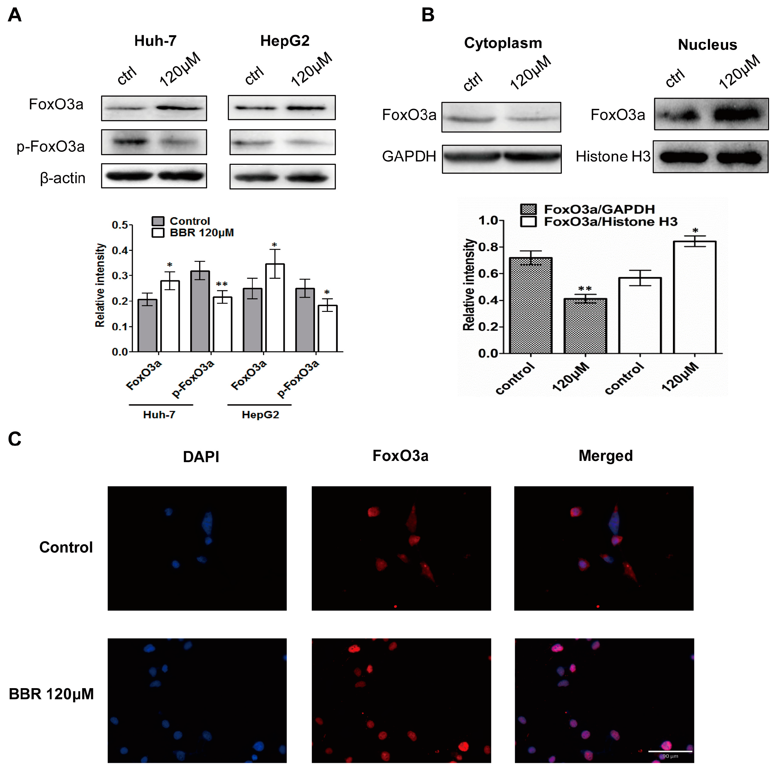 Ijms 19 00327 g004 550