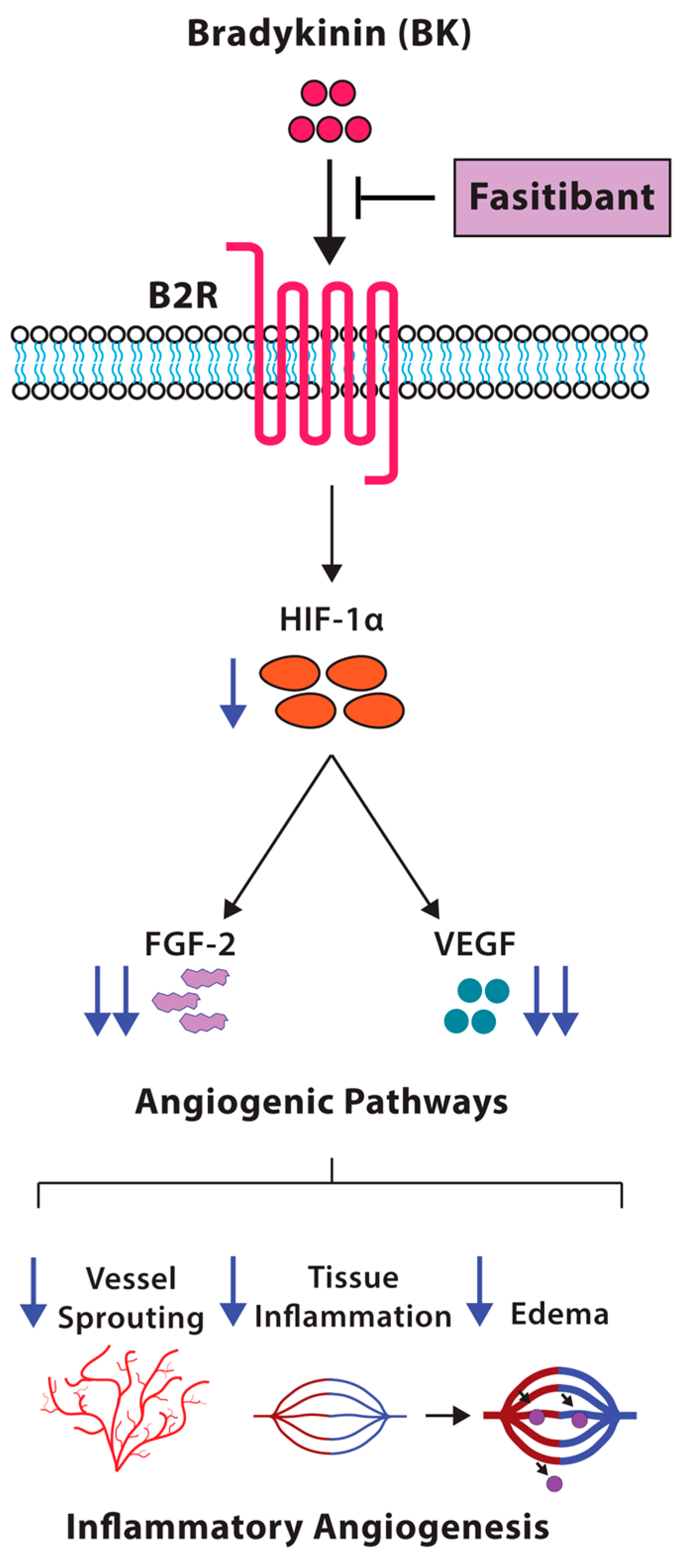 Ijms 19 00330 g006 550