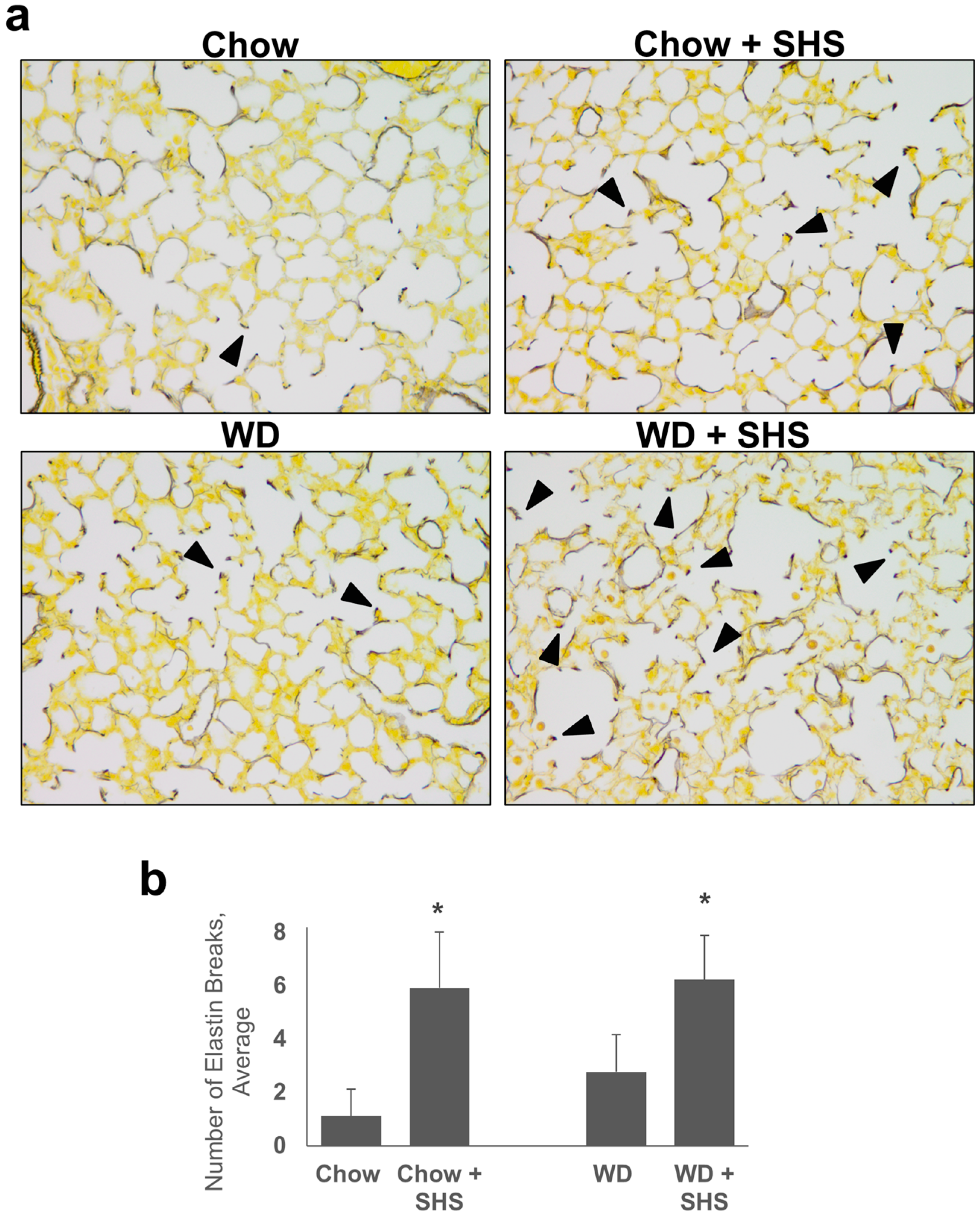 Ijms Free Full Text Disrupting The Btk Pathway - 