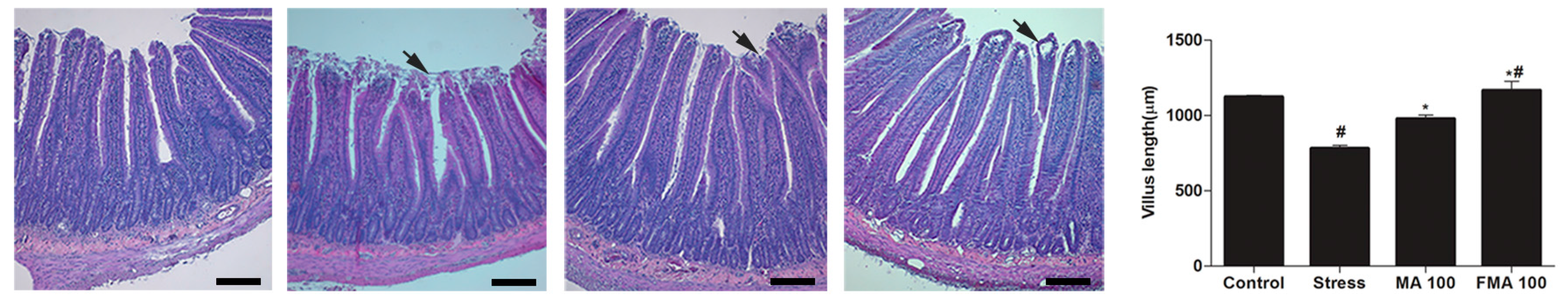 Ijms 19 00355 g005