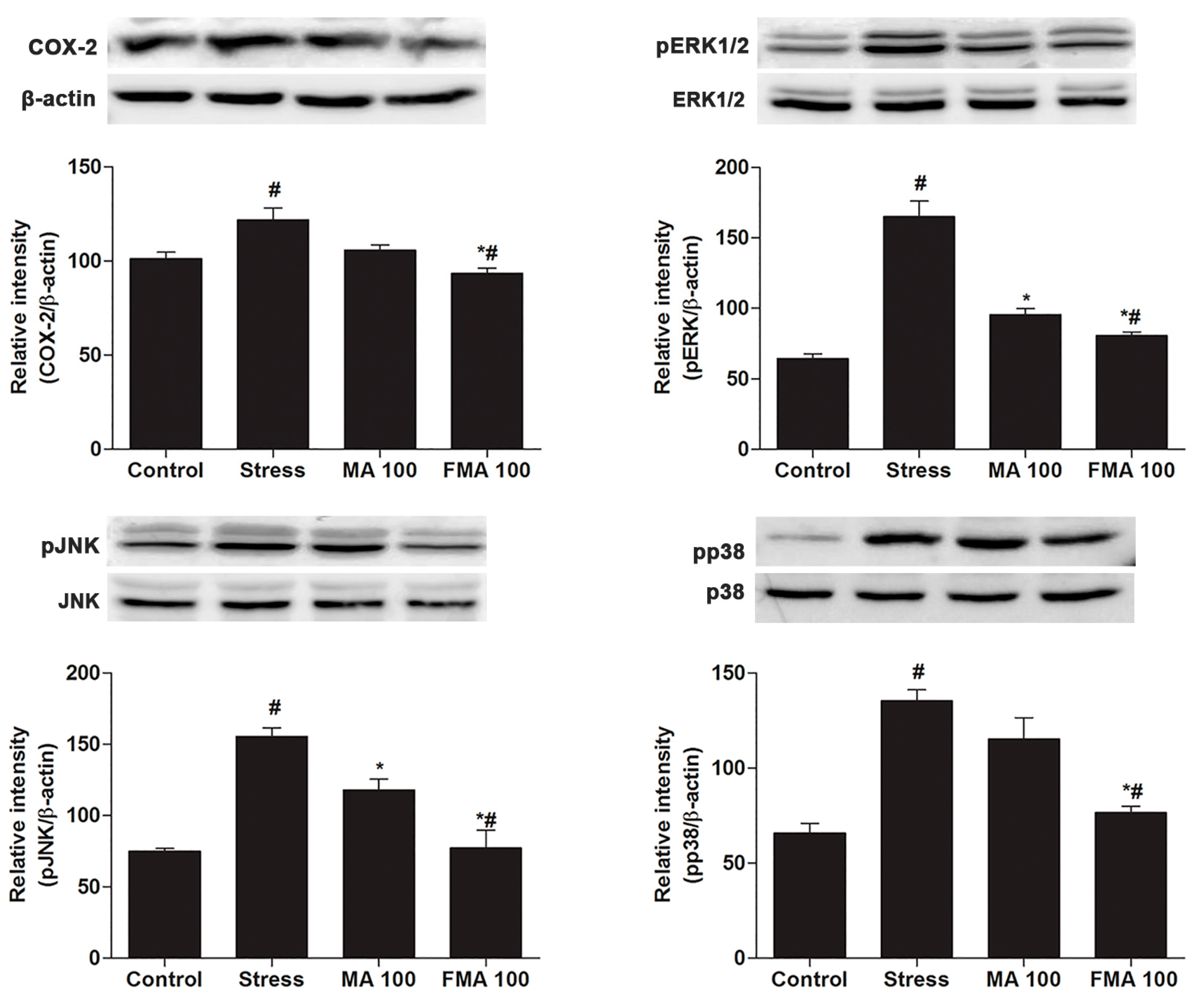 Ijms 19 00355 g006