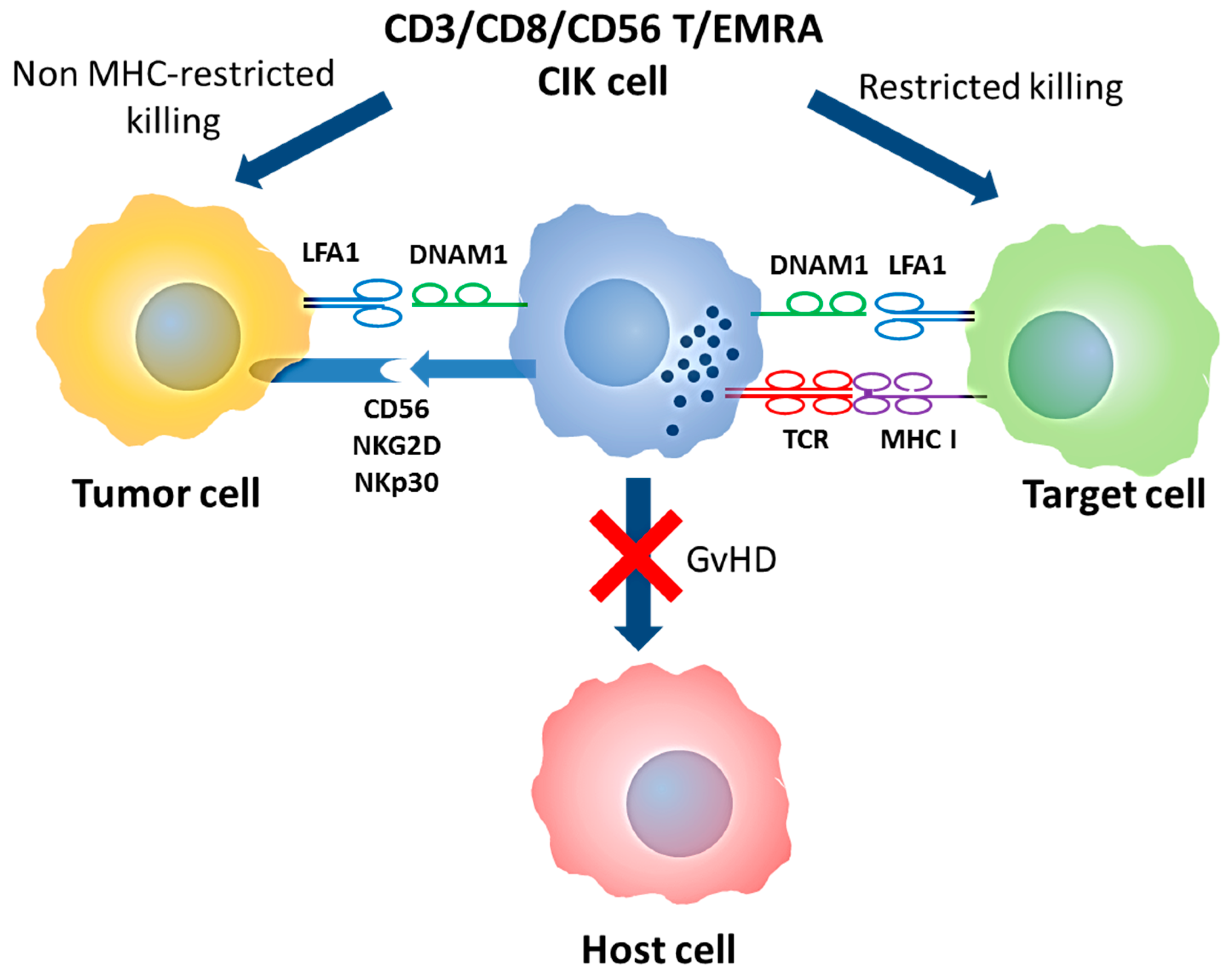 Ijms 19 00358 g001 550