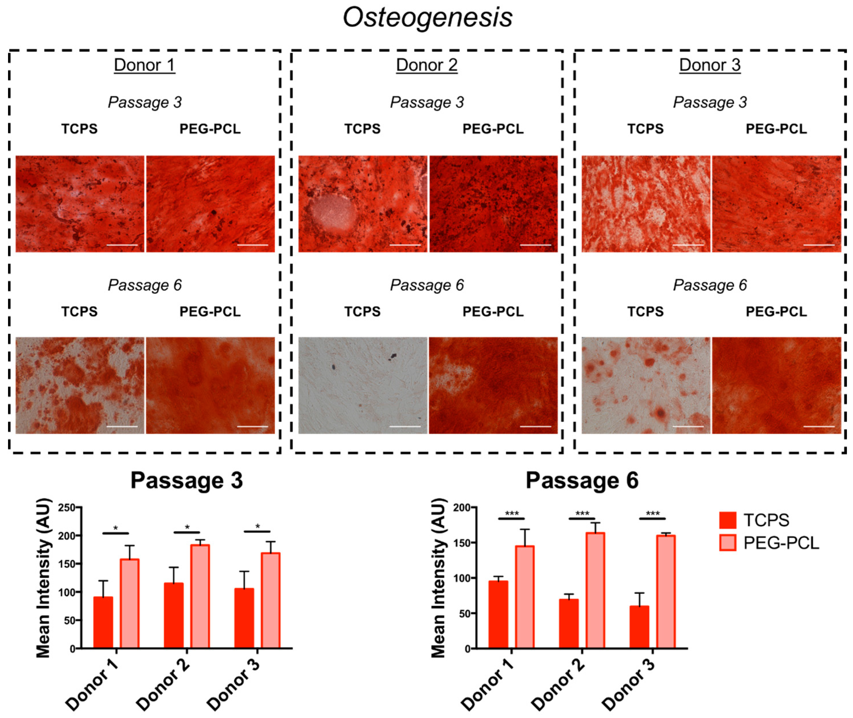 Ijms 19 00359 g004 Ijms 19 00359 g004