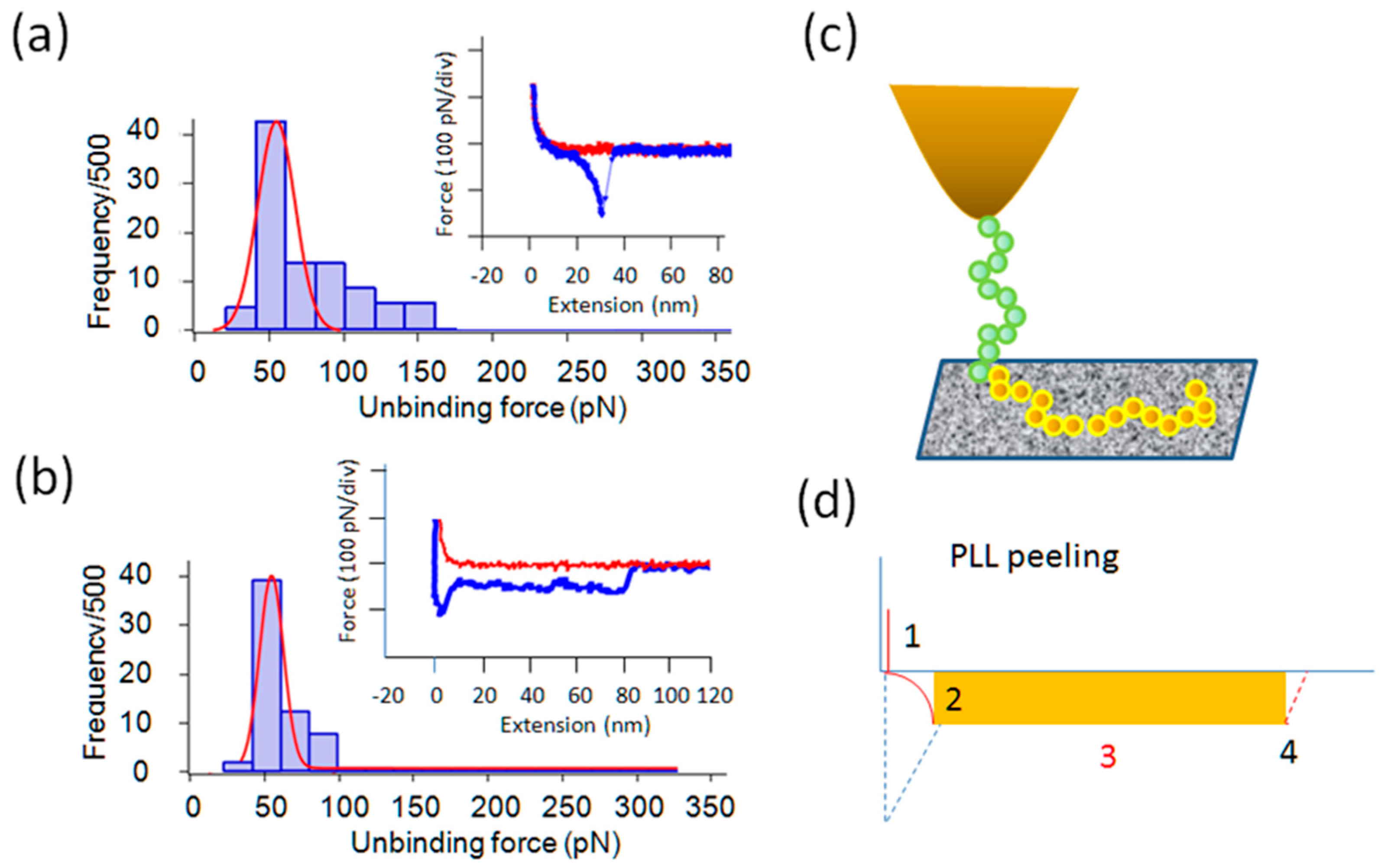 Ijms 19 00365 g006 550