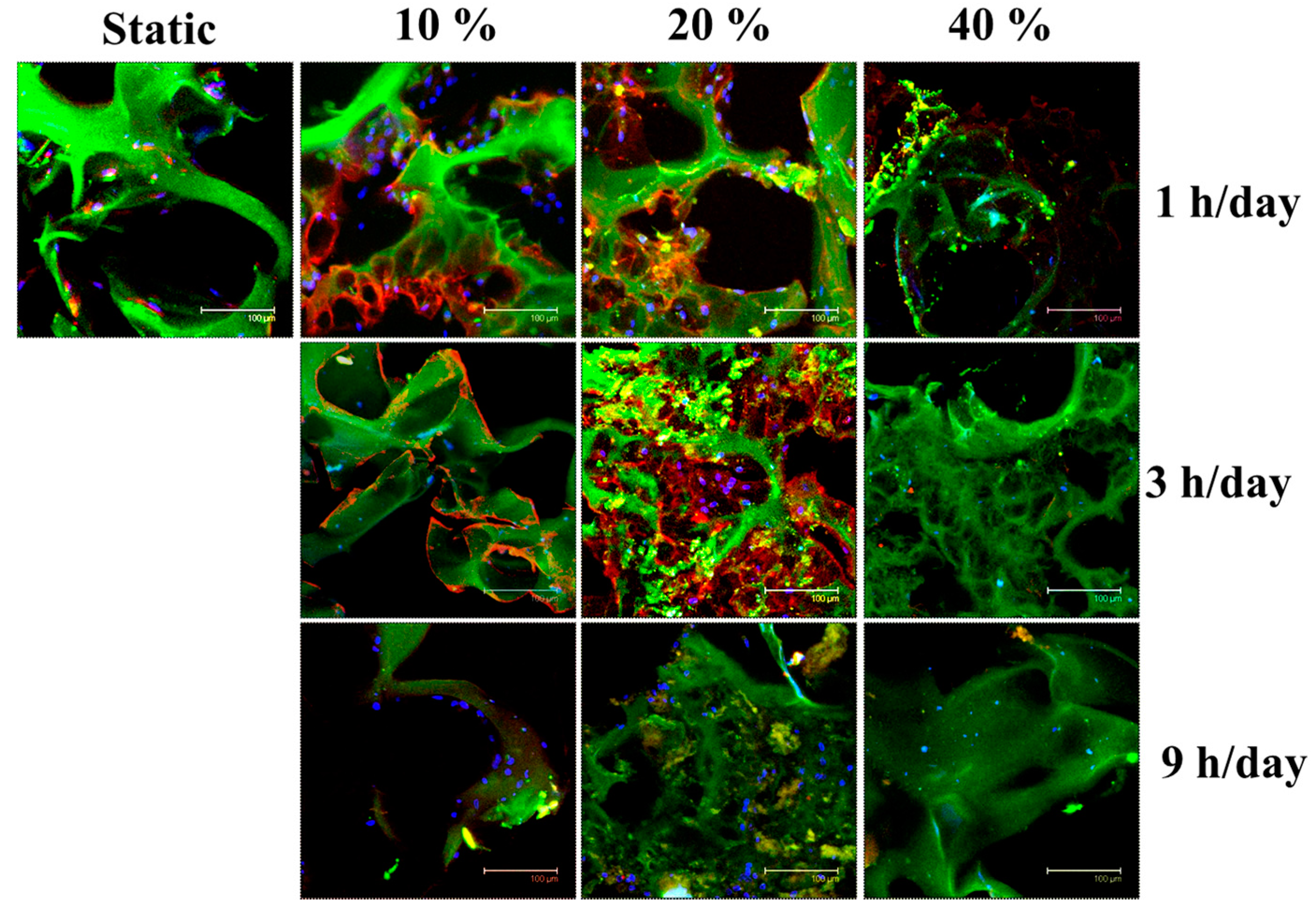 Ijms 19 00370 g003 Ijms 19 00370 g003