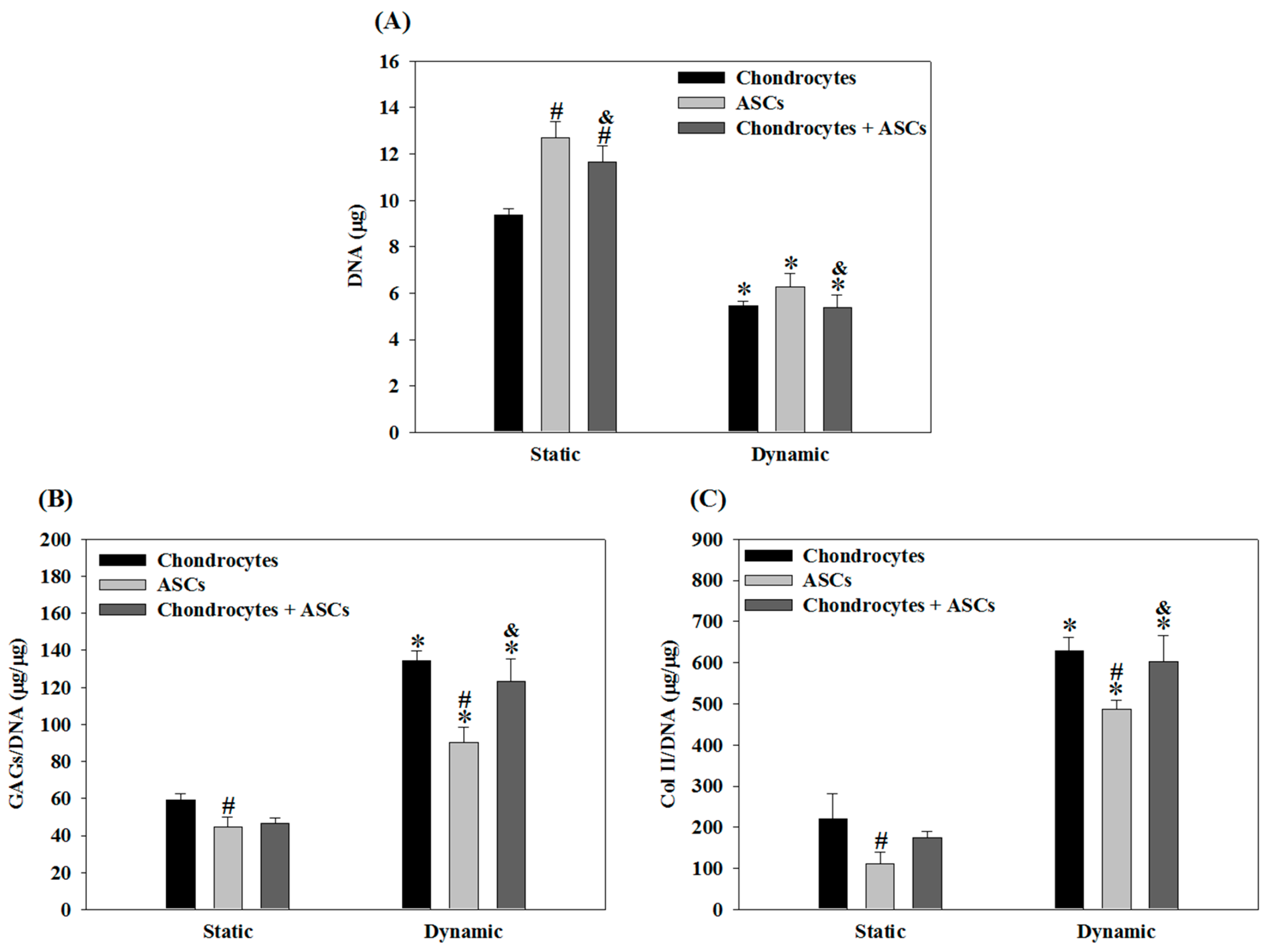 Ijms 19 00370 g005 Ijms 19 00370 g005