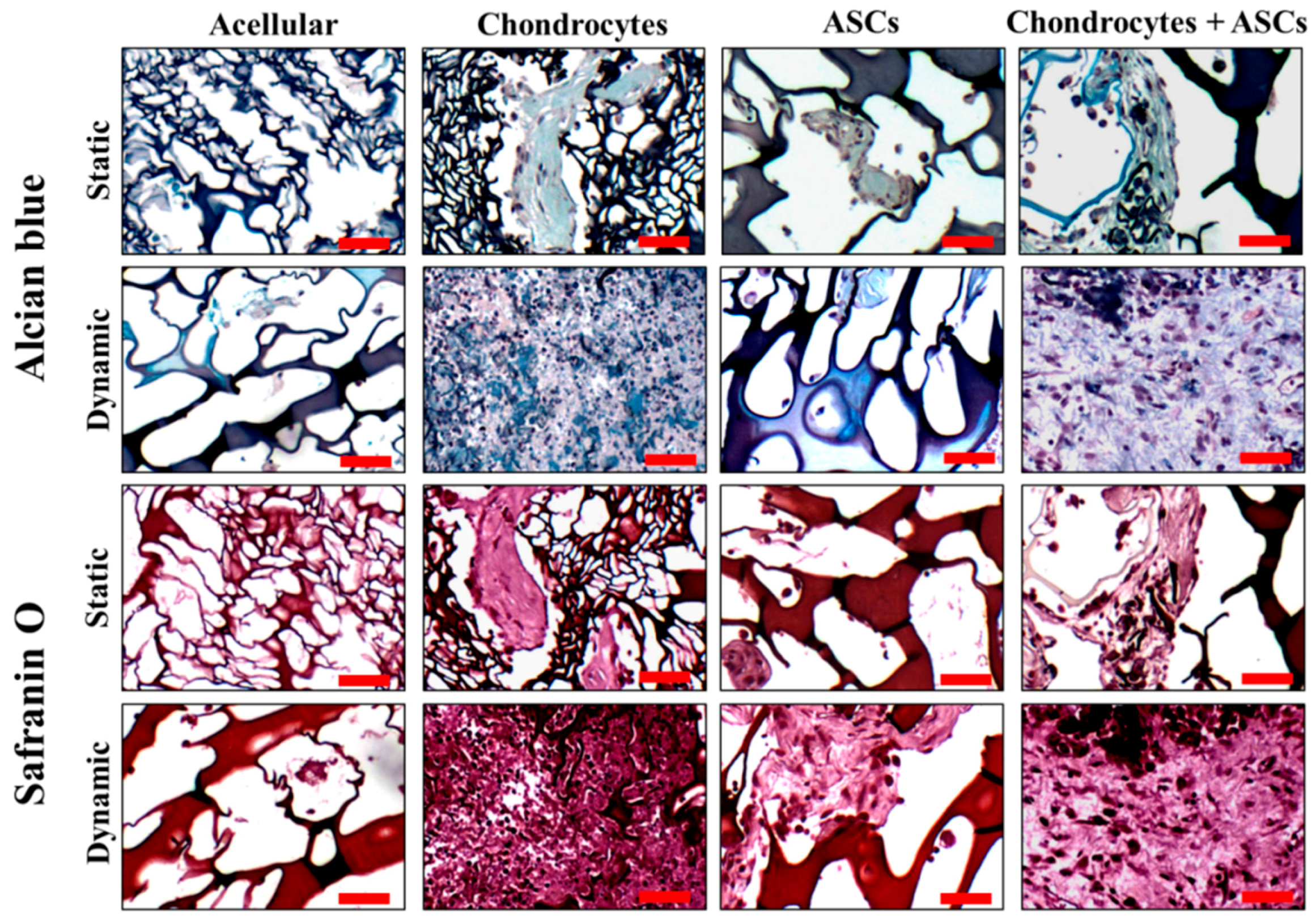 Ijms 19 00370 g007 Ijms 19 00370 g007