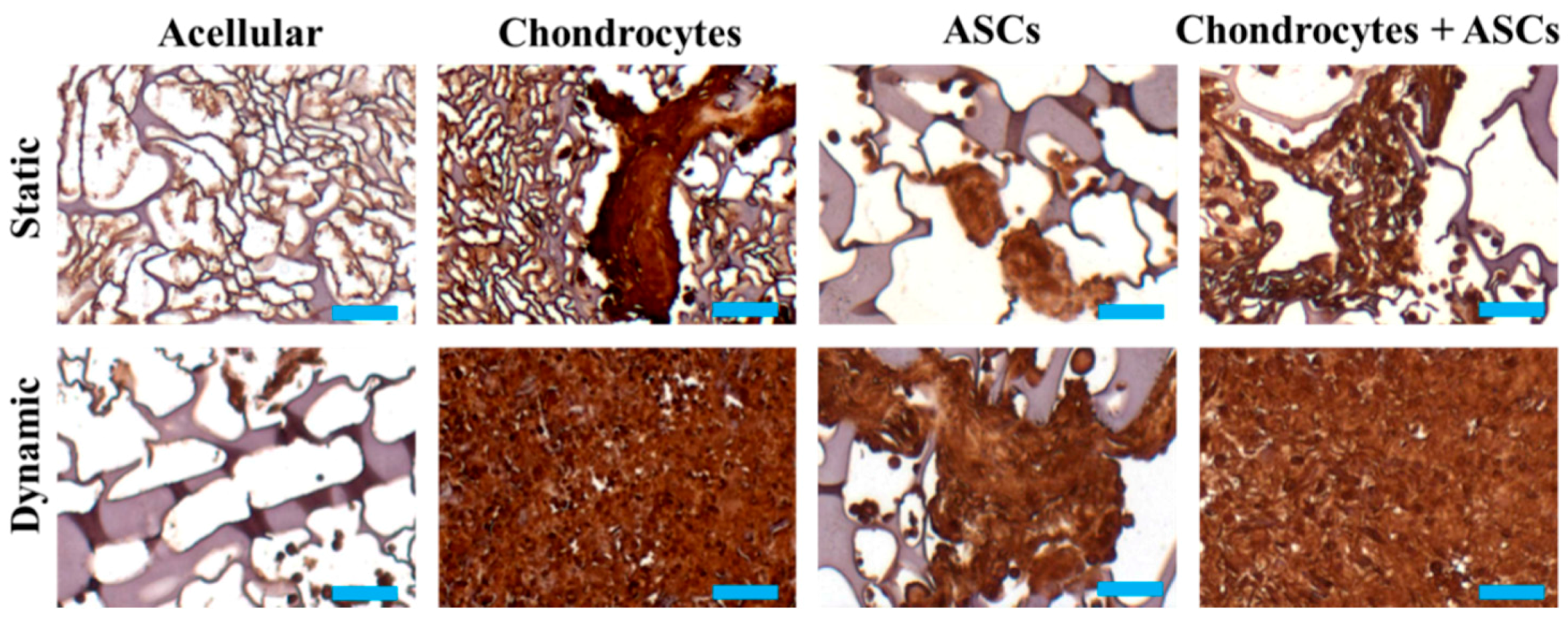 Ijms 19 00370 g008 Ijms 19 00370 g008