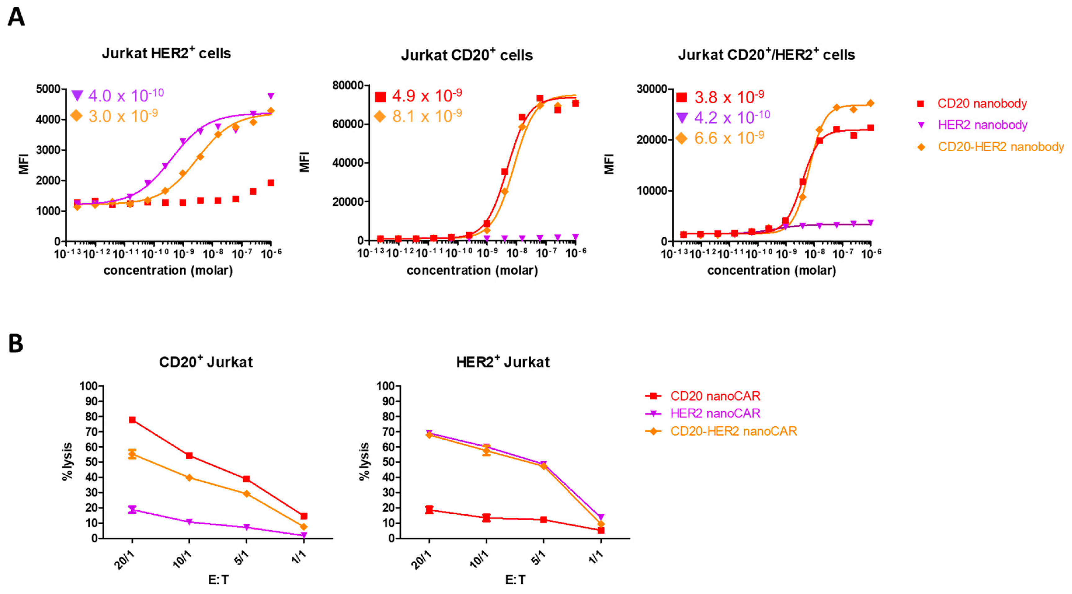 Ijms 19 00403 g004