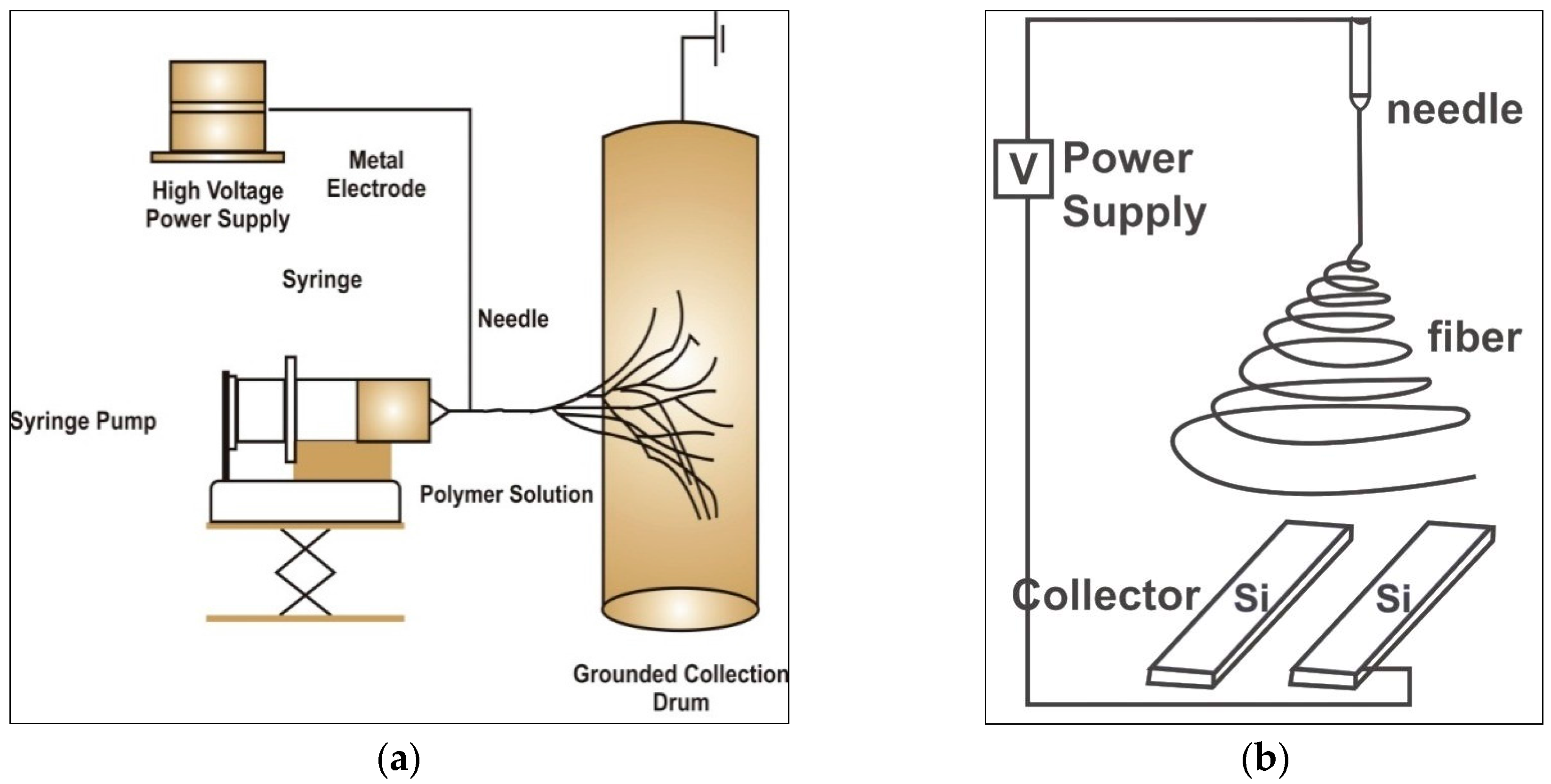 Electrospinning of Chitosan-Based Solutions for Tissue