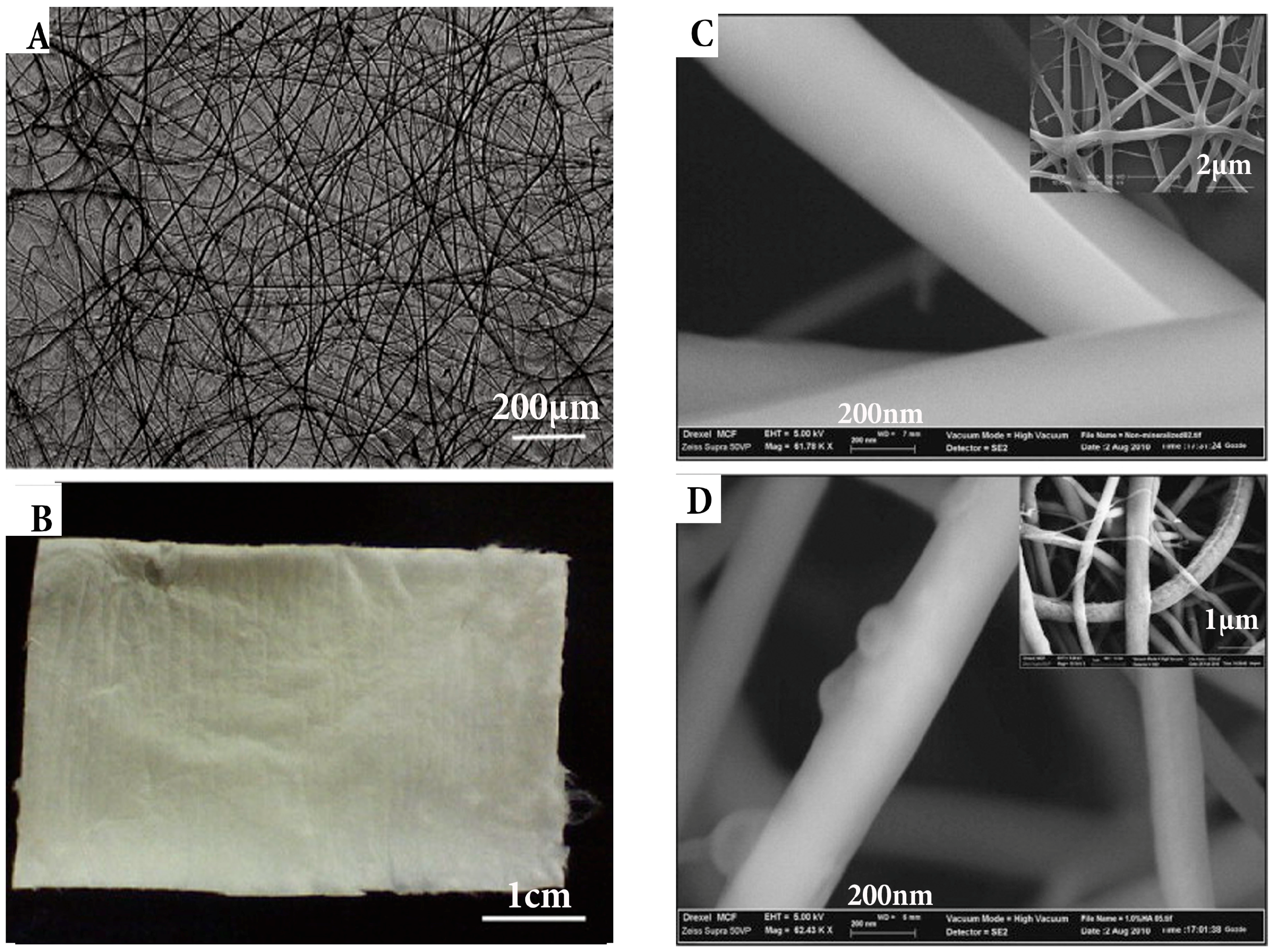 Ijms 19 00407 g008 Ijms 19 00407 g008