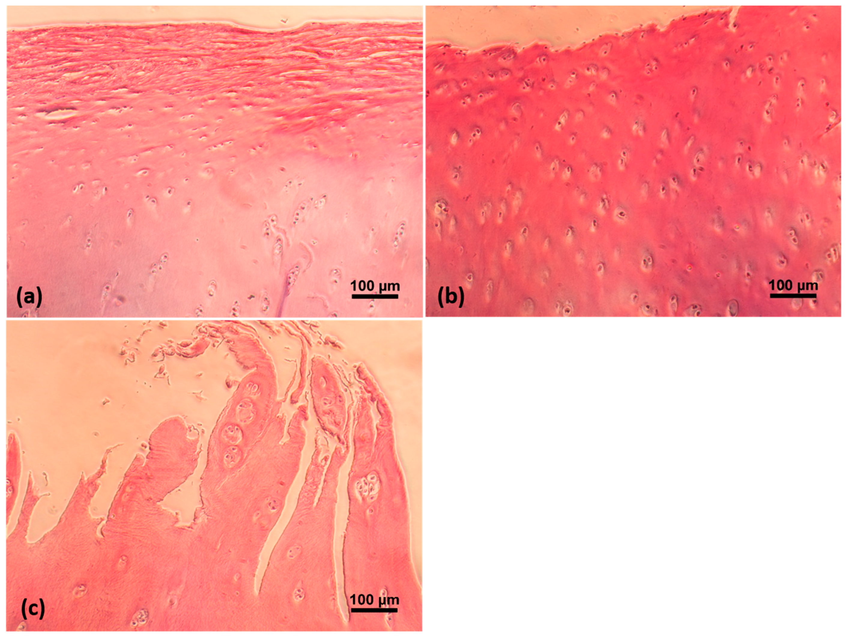 Ijms 19 00413 g002 Ijms 19 00413 g002