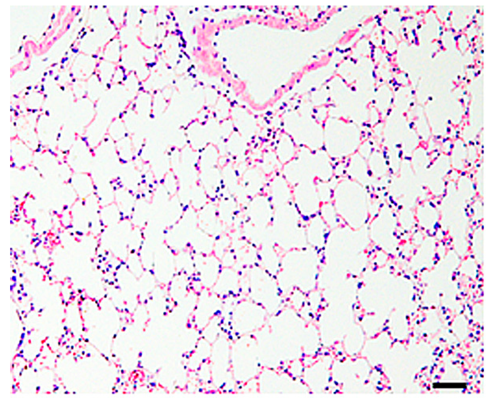 Ijms 19 00416 g001 550