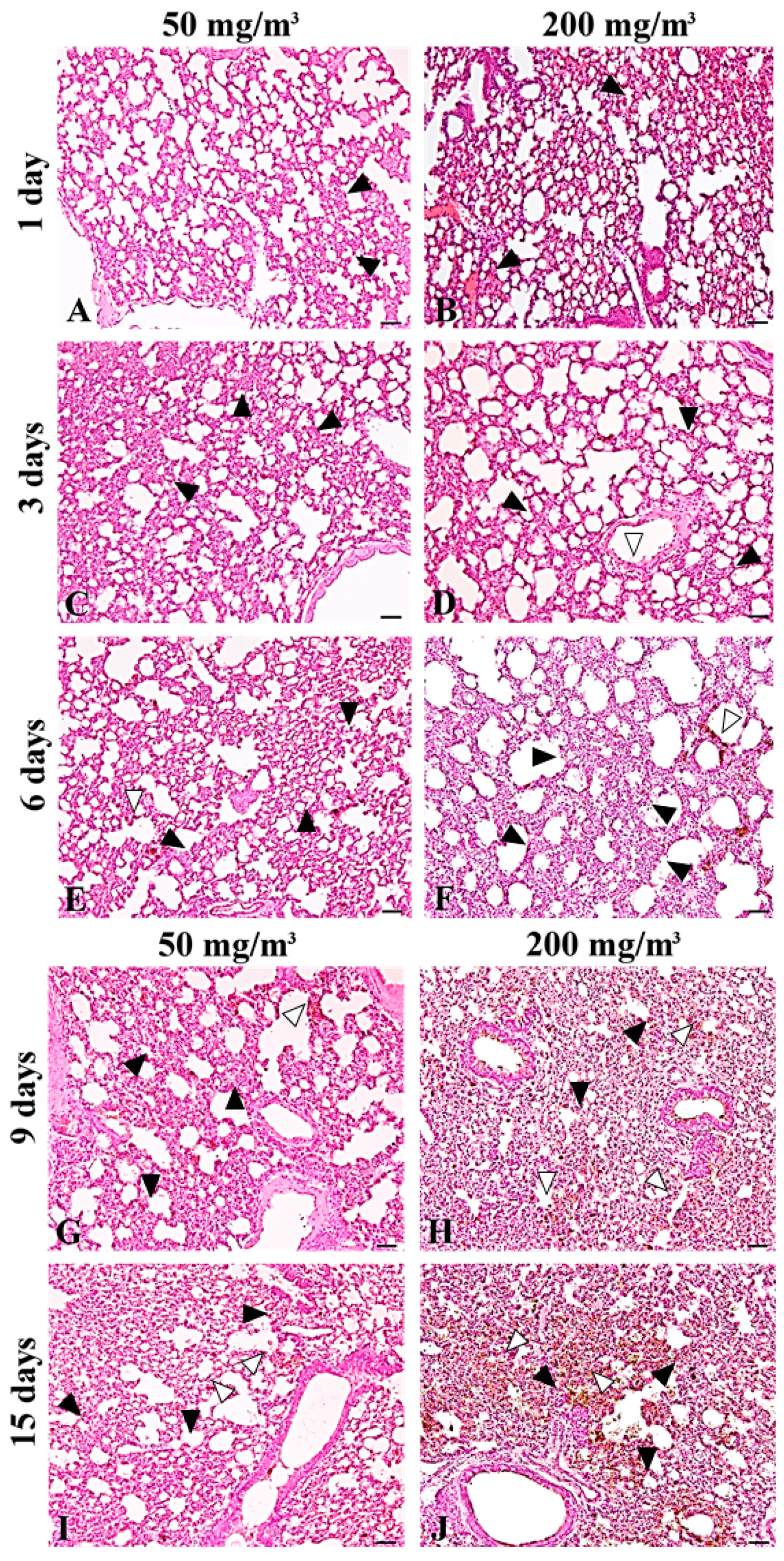 Ijms 19 00416 g002 550