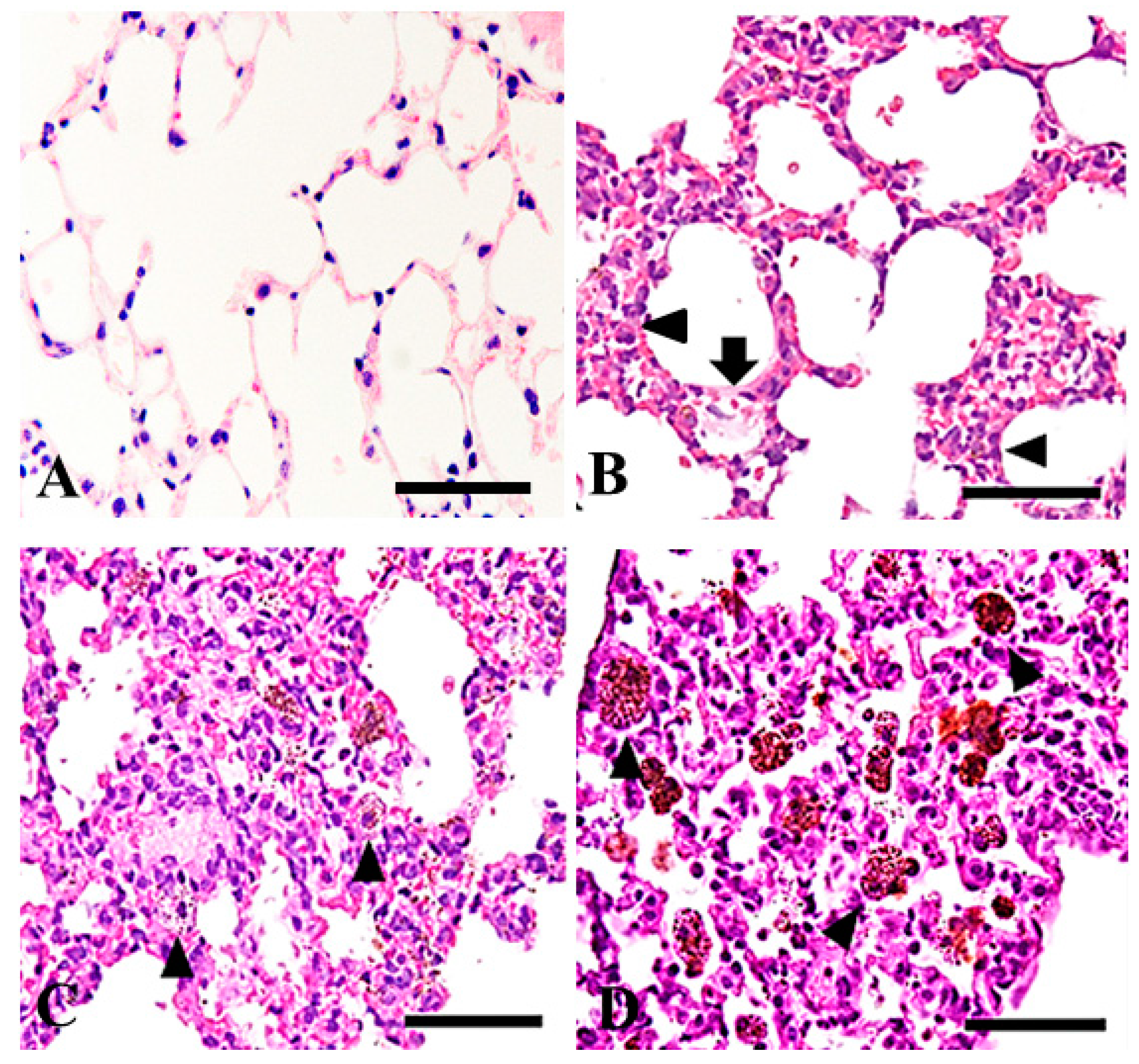 Ijms 19 00416 g003 550