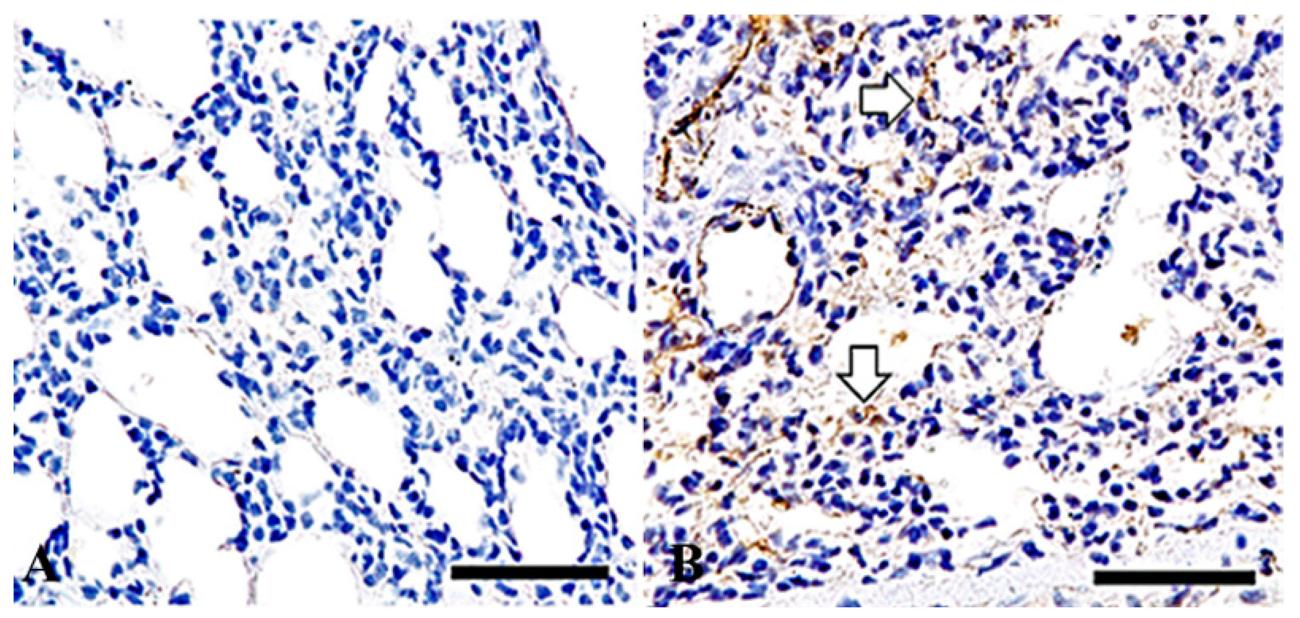 Ijms 19 00416 g005 550