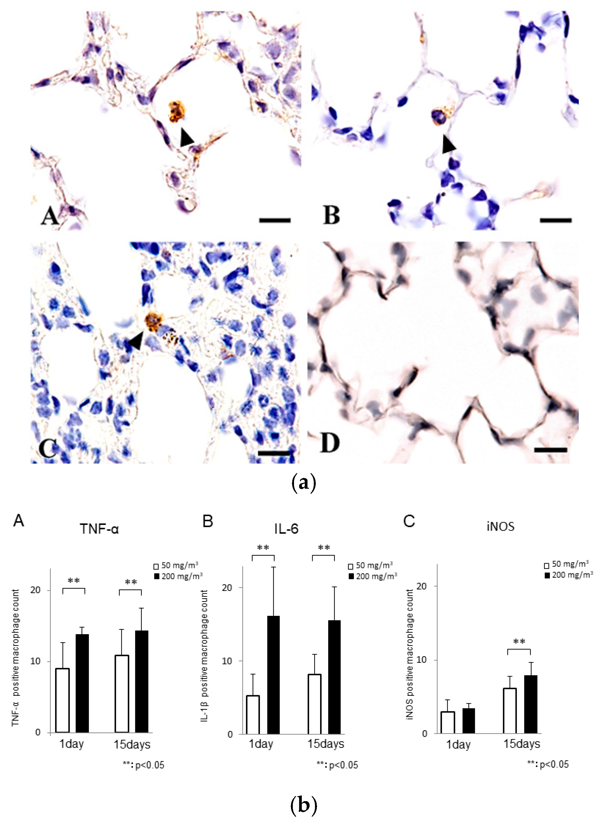 Ijms 19 00416 g007 550