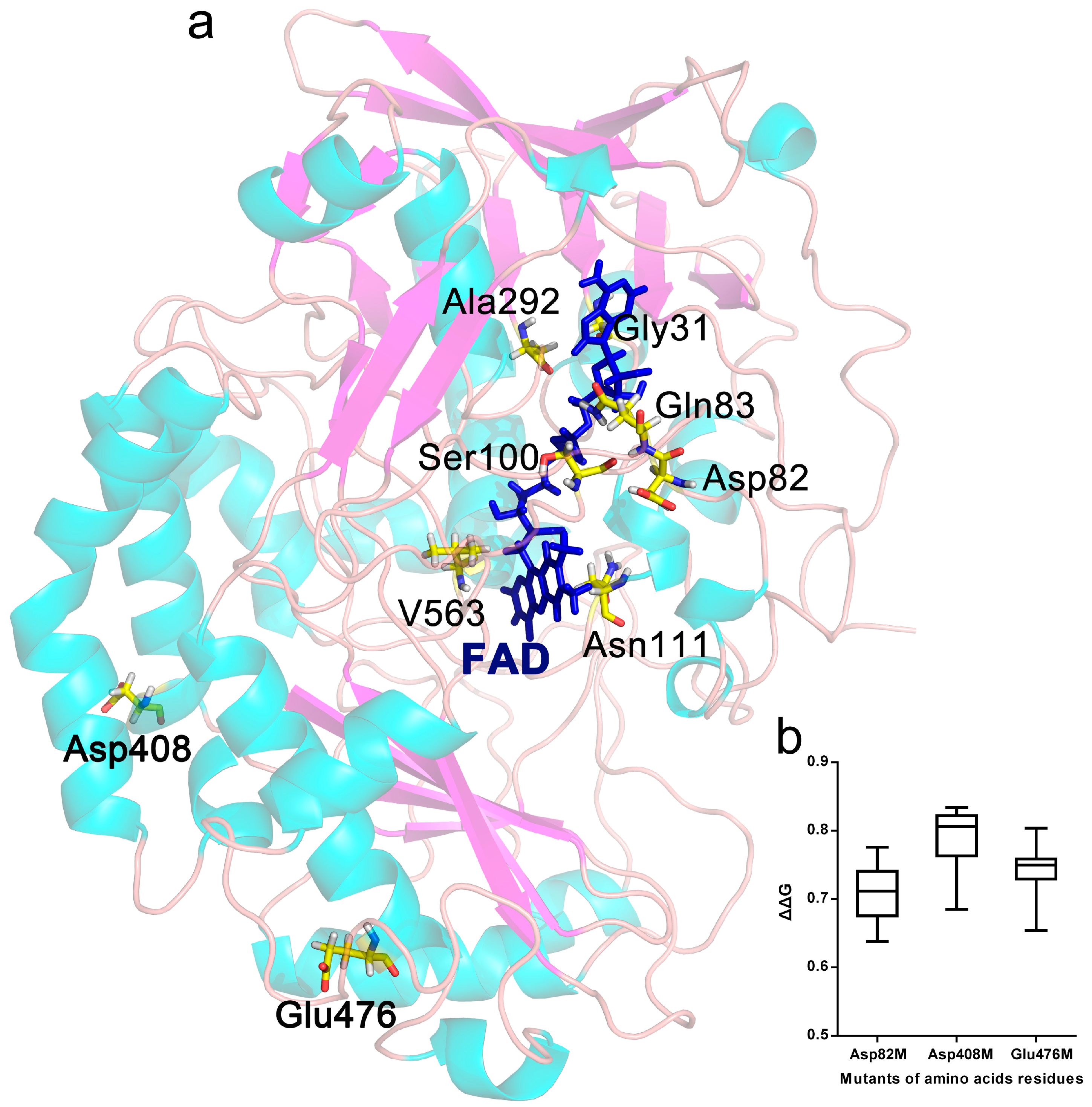 Ijms 19 00425 g001 Ijms 19 00425 g001
