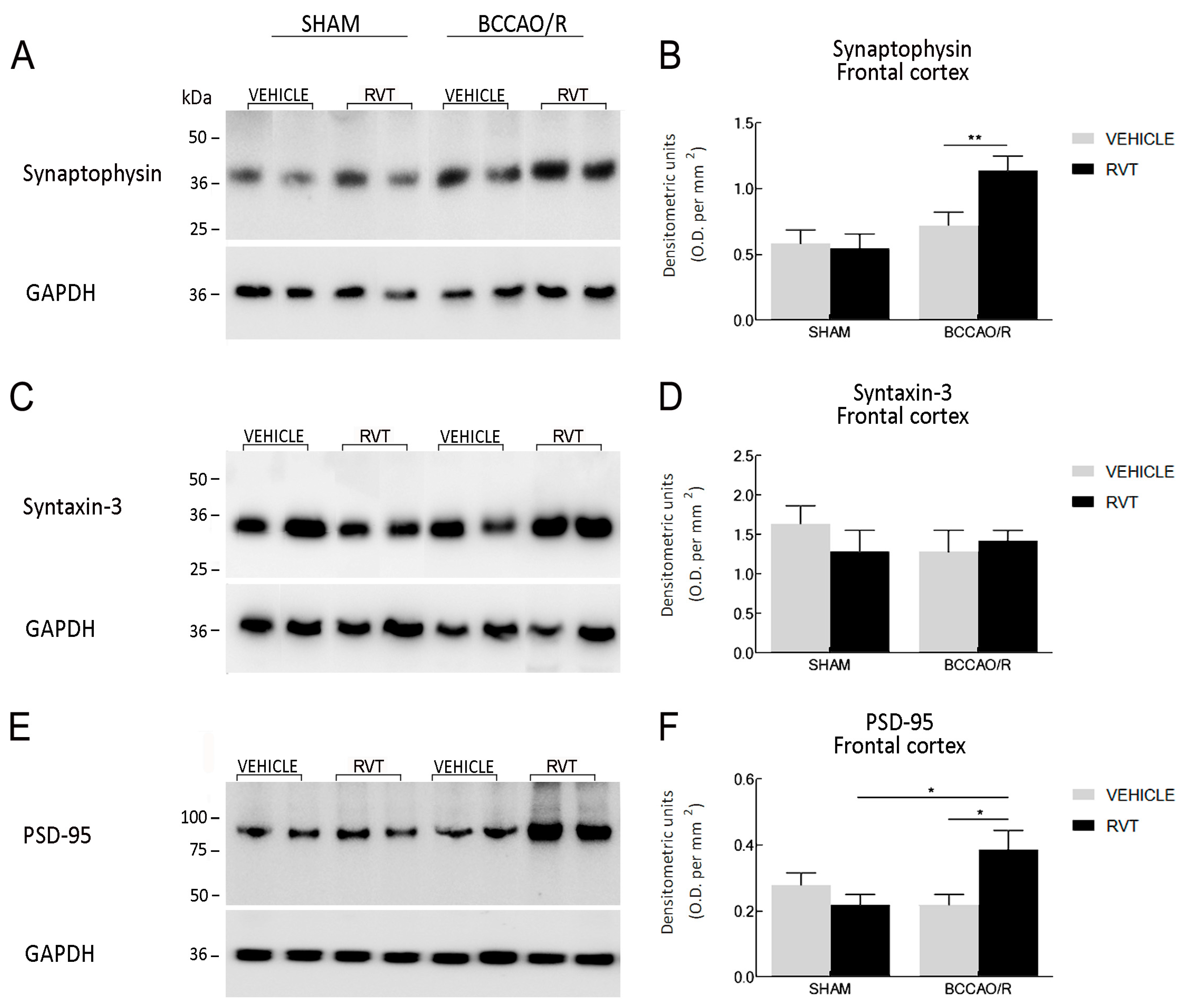 Ijms 19 00426 g003 Ijms 19 00426 g003