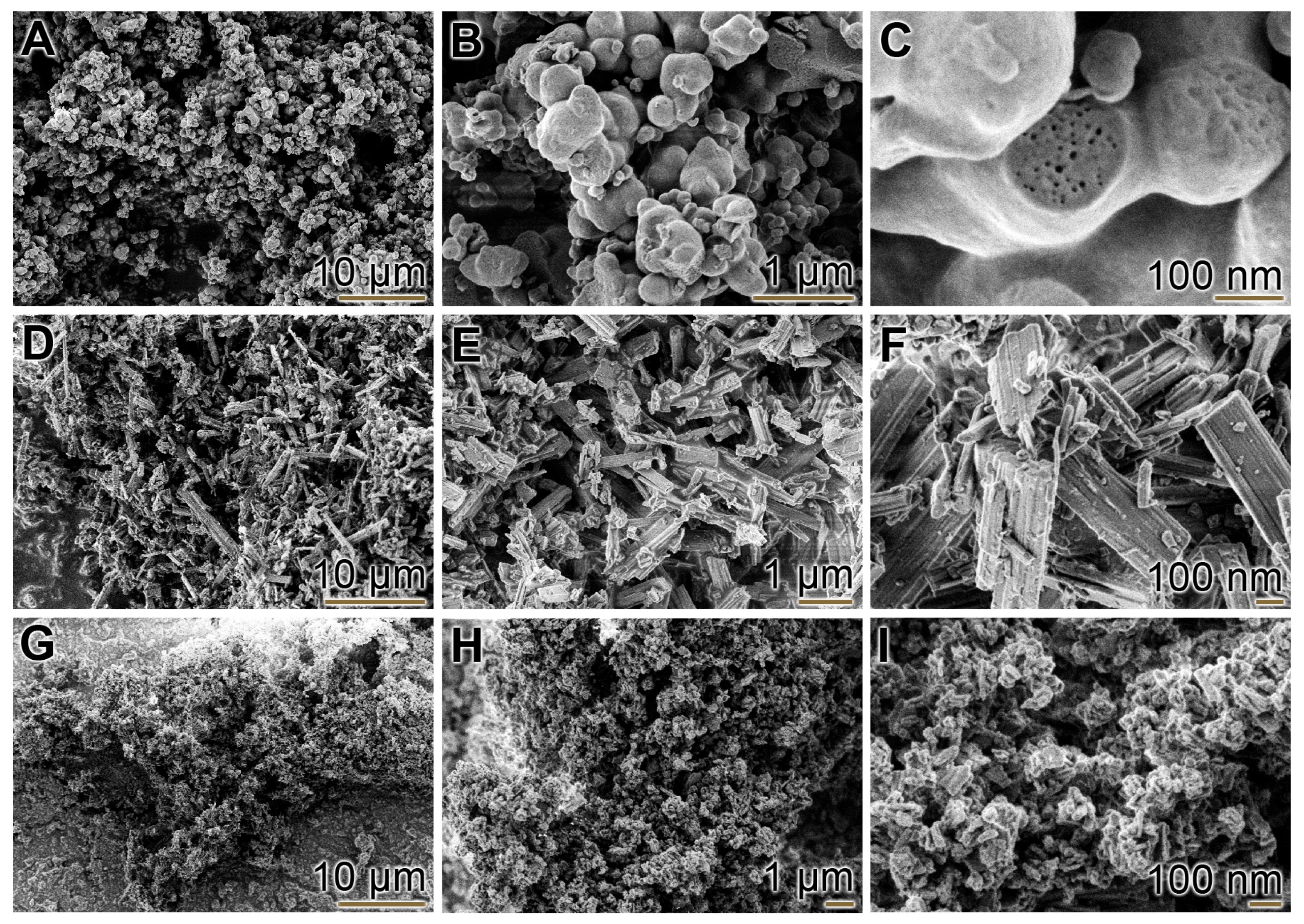 Ijms 19 00427 g001 Ijms 19 00427 g001