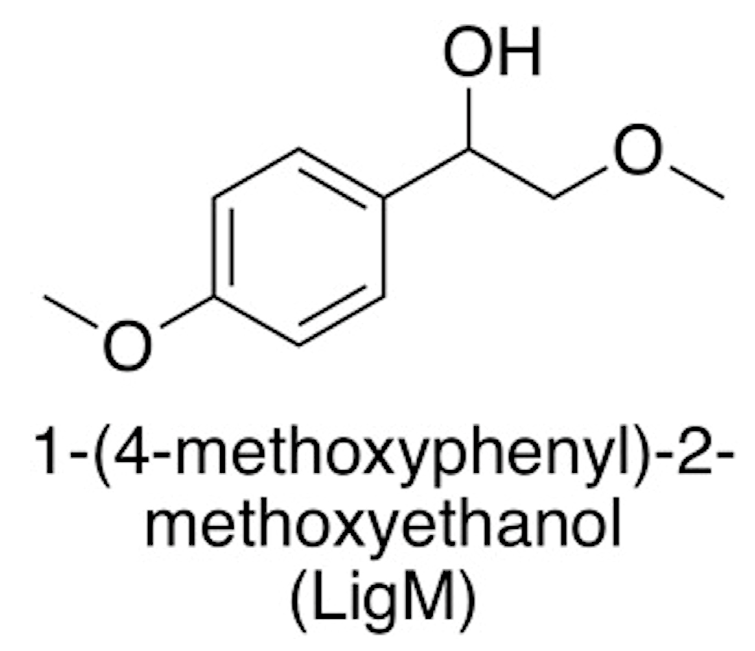 Ijms 19 00428 g003 Ijms 19 00428 g003