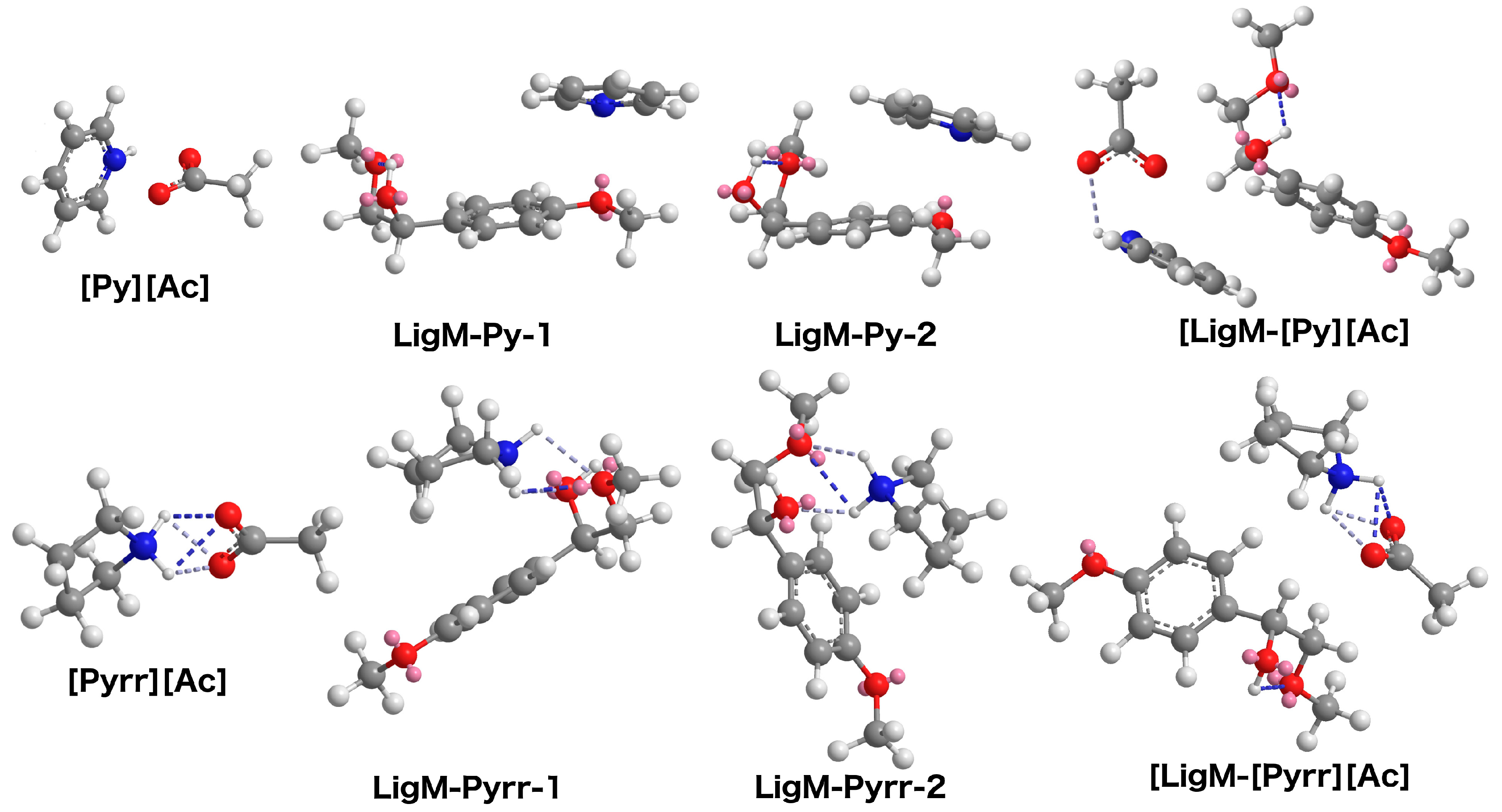 Ijms 19 00428 g004 Ijms 19 00428 g004