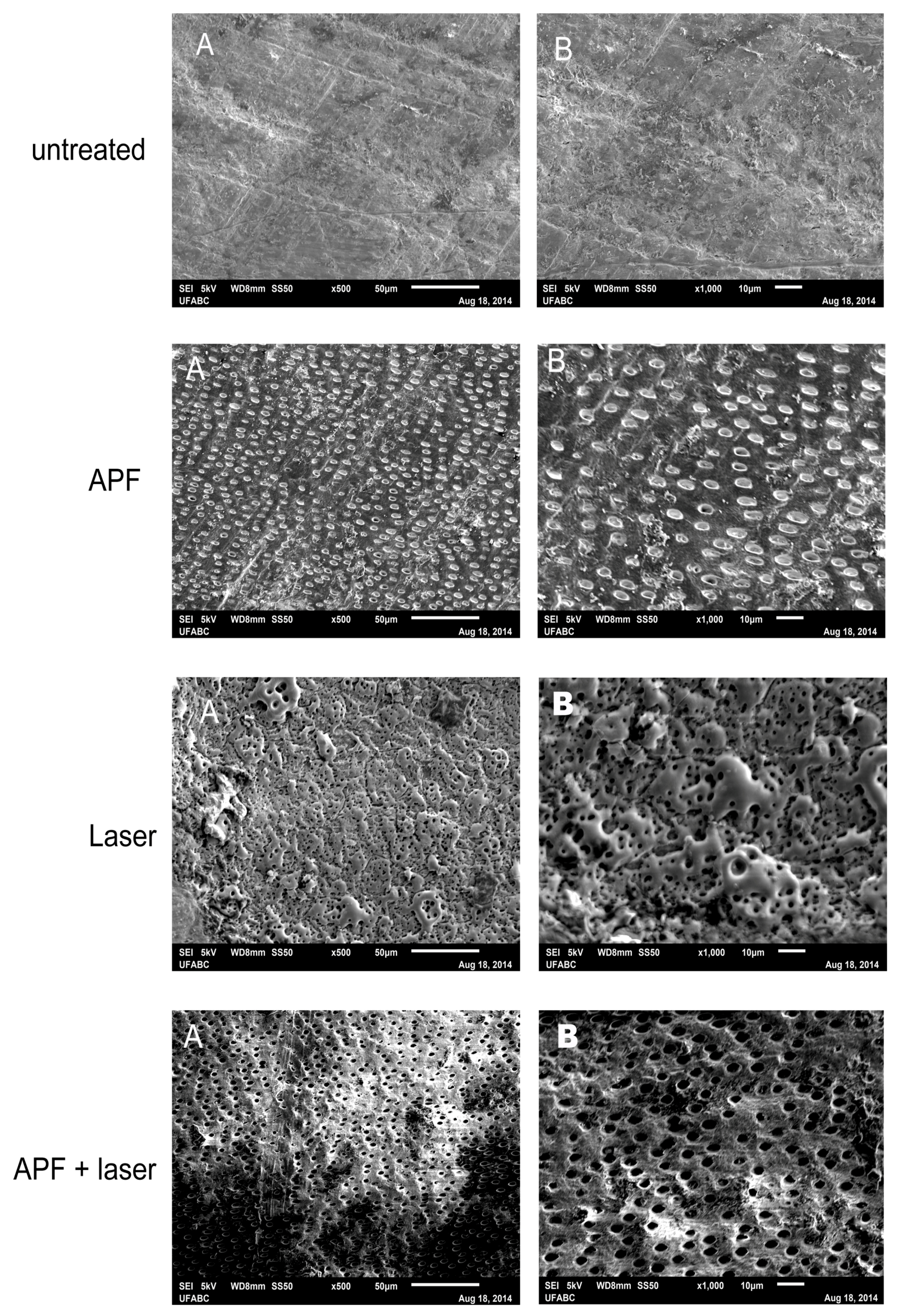 Ijms 19 00433 g005 Ijms 19 00433 g005