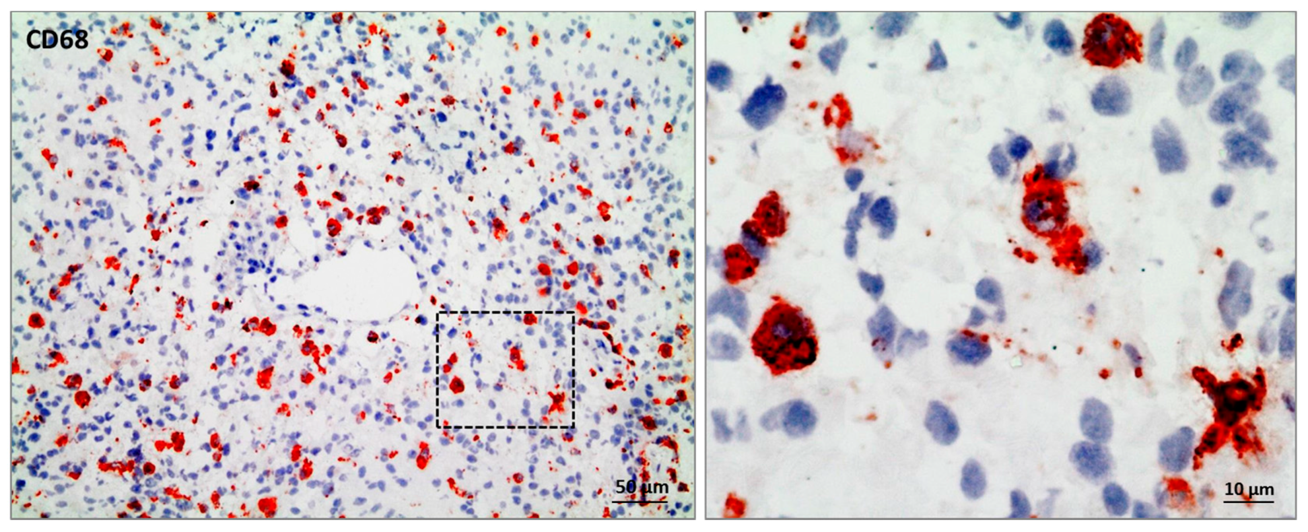 Ijms 19 00436 g001 550