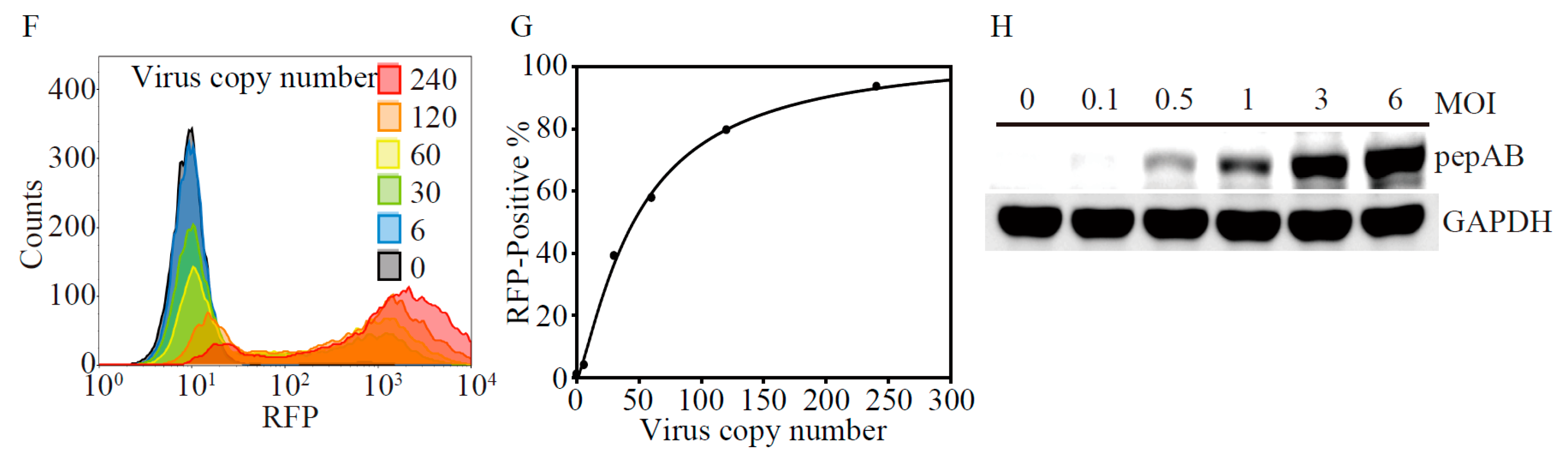 Ijms 19 00452 g001b 550