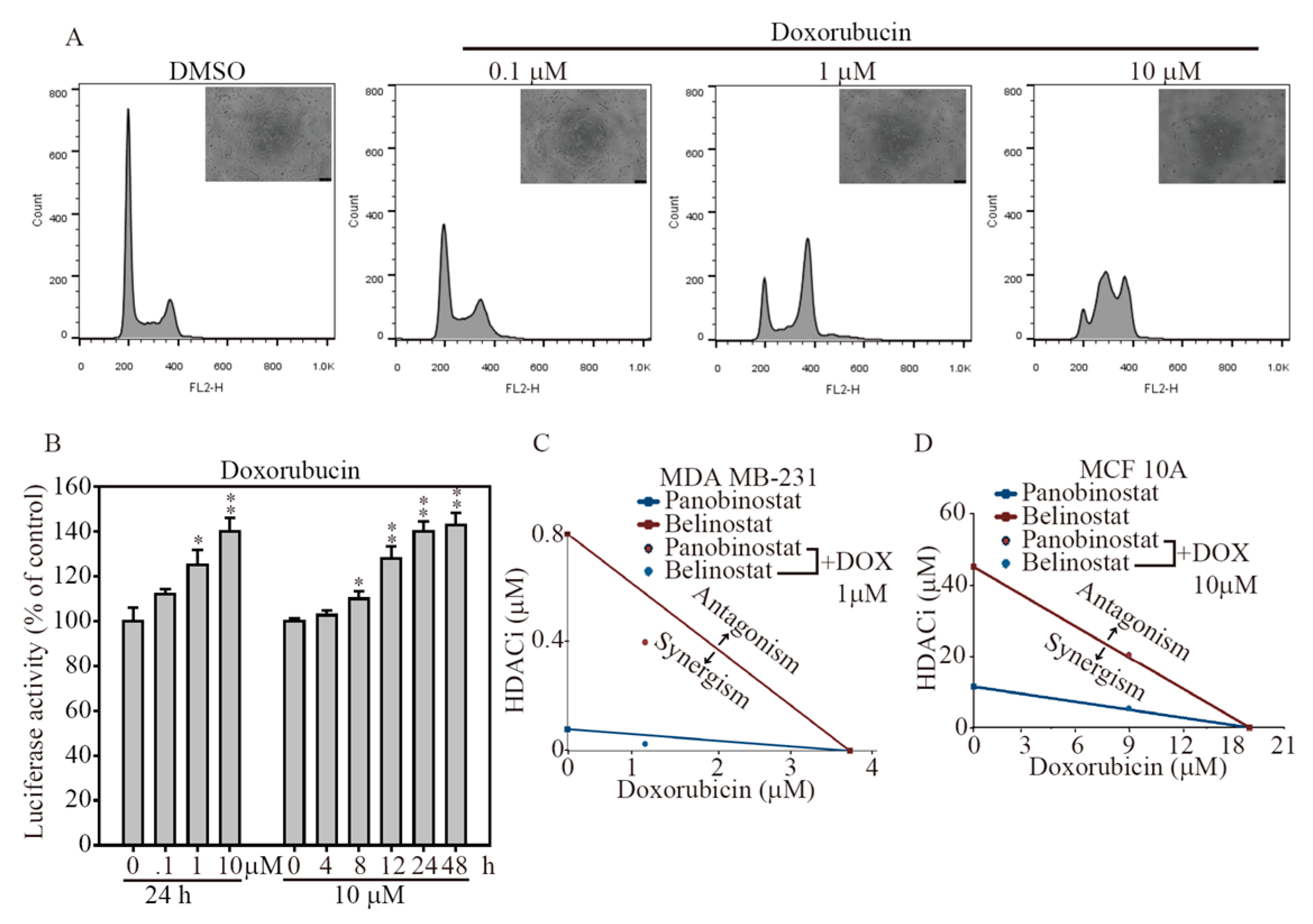 Ijms 19 00452 g005 550