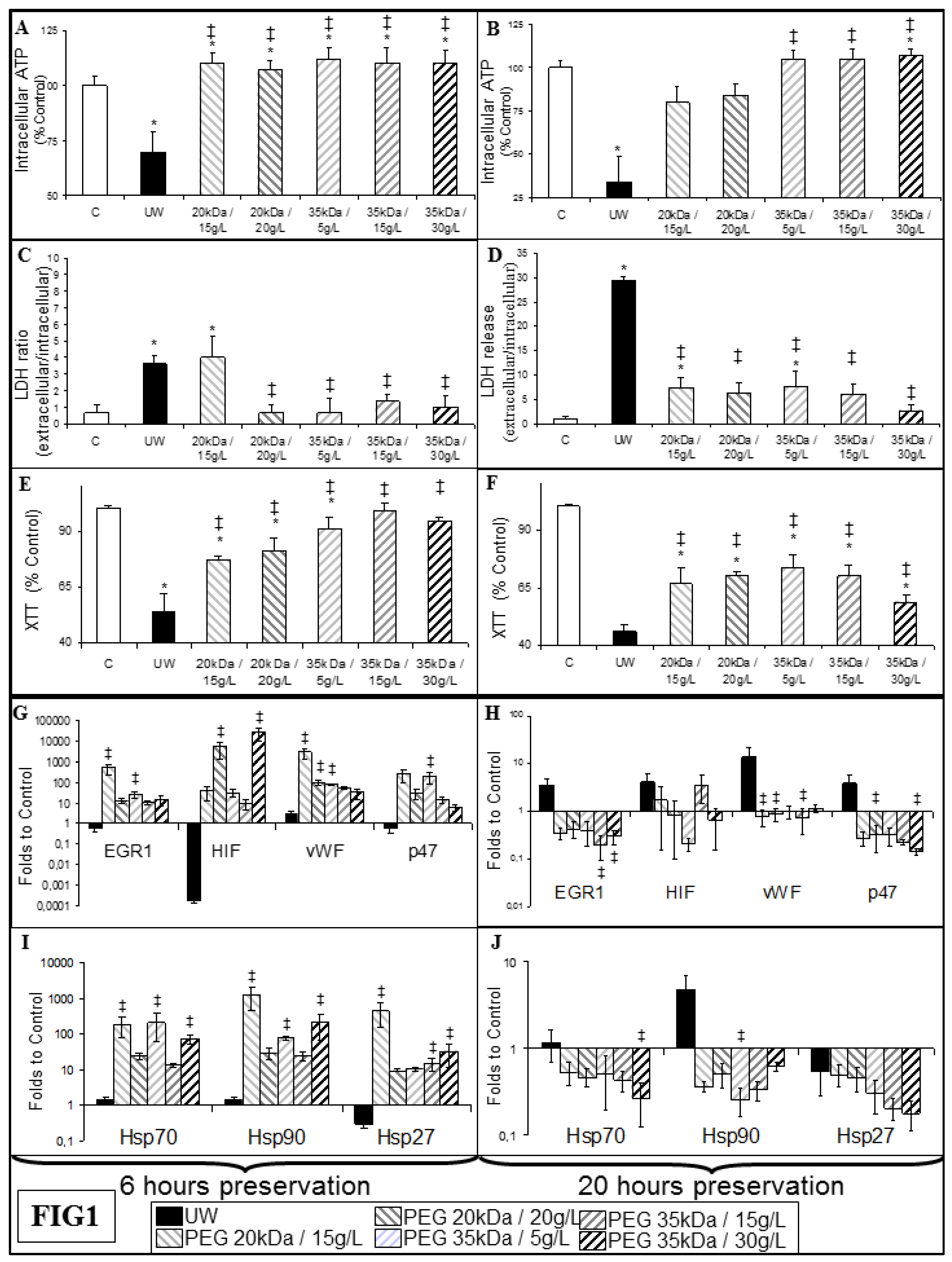 Ijms Free Full Text The Optimal Peg For Kidney Preservation A Preclinical Porcine Study Html