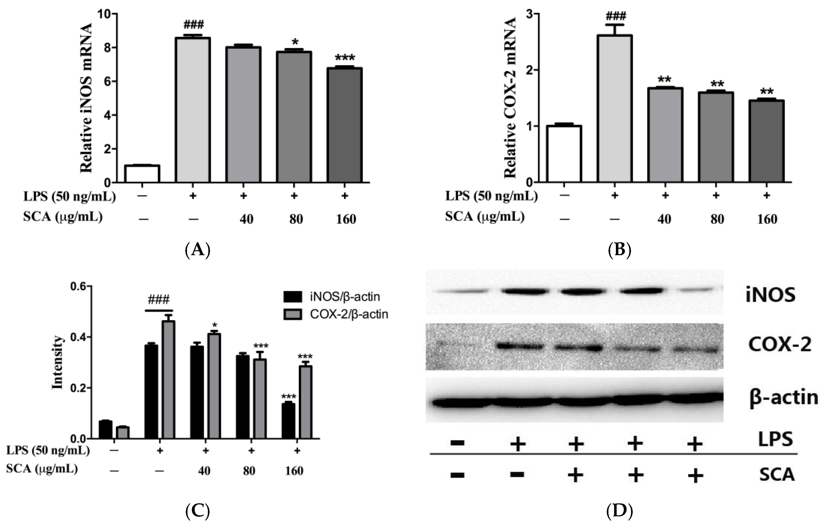 Ijms 19 00457 g005