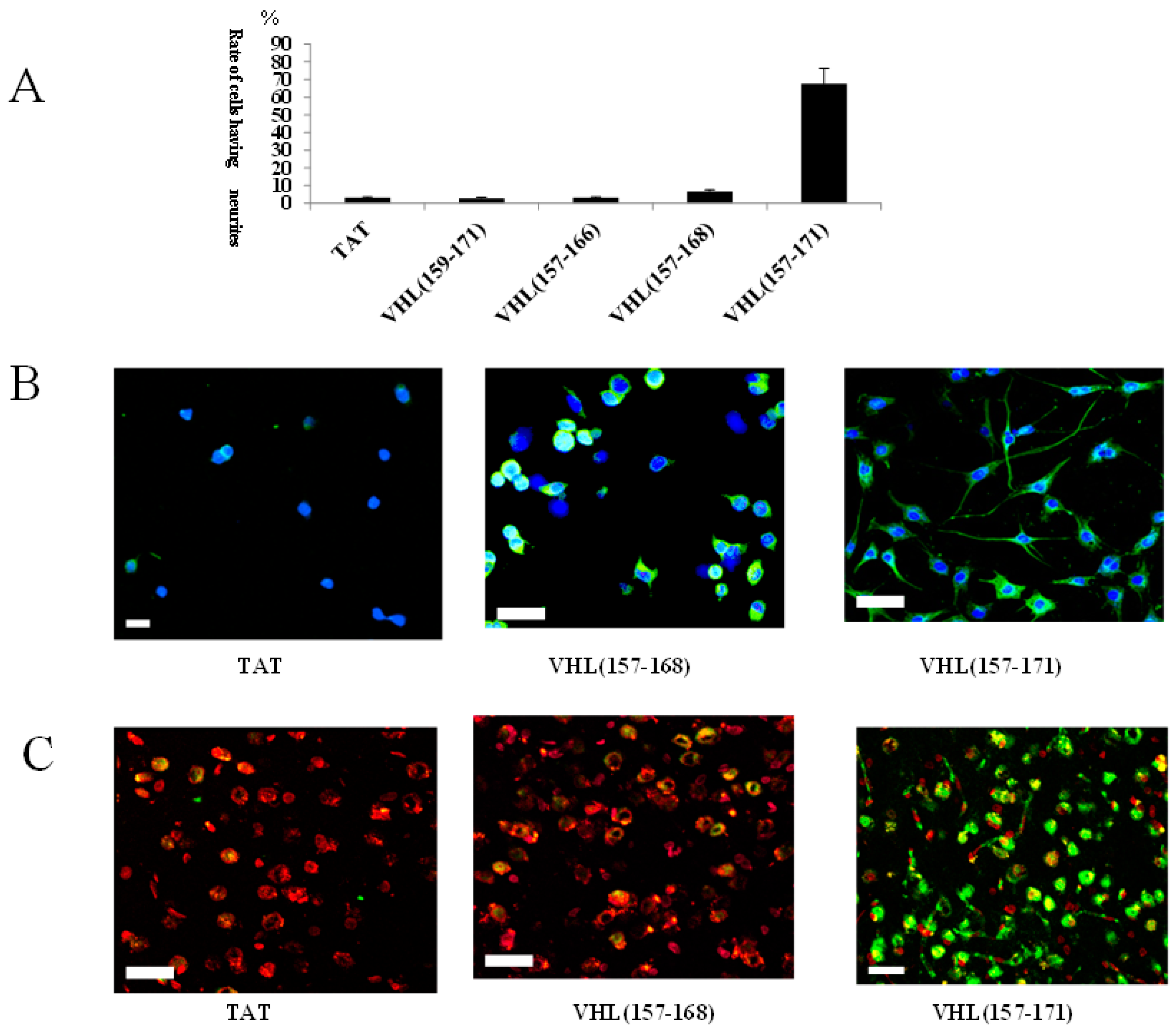 Ijms 19 00466 g002 550
