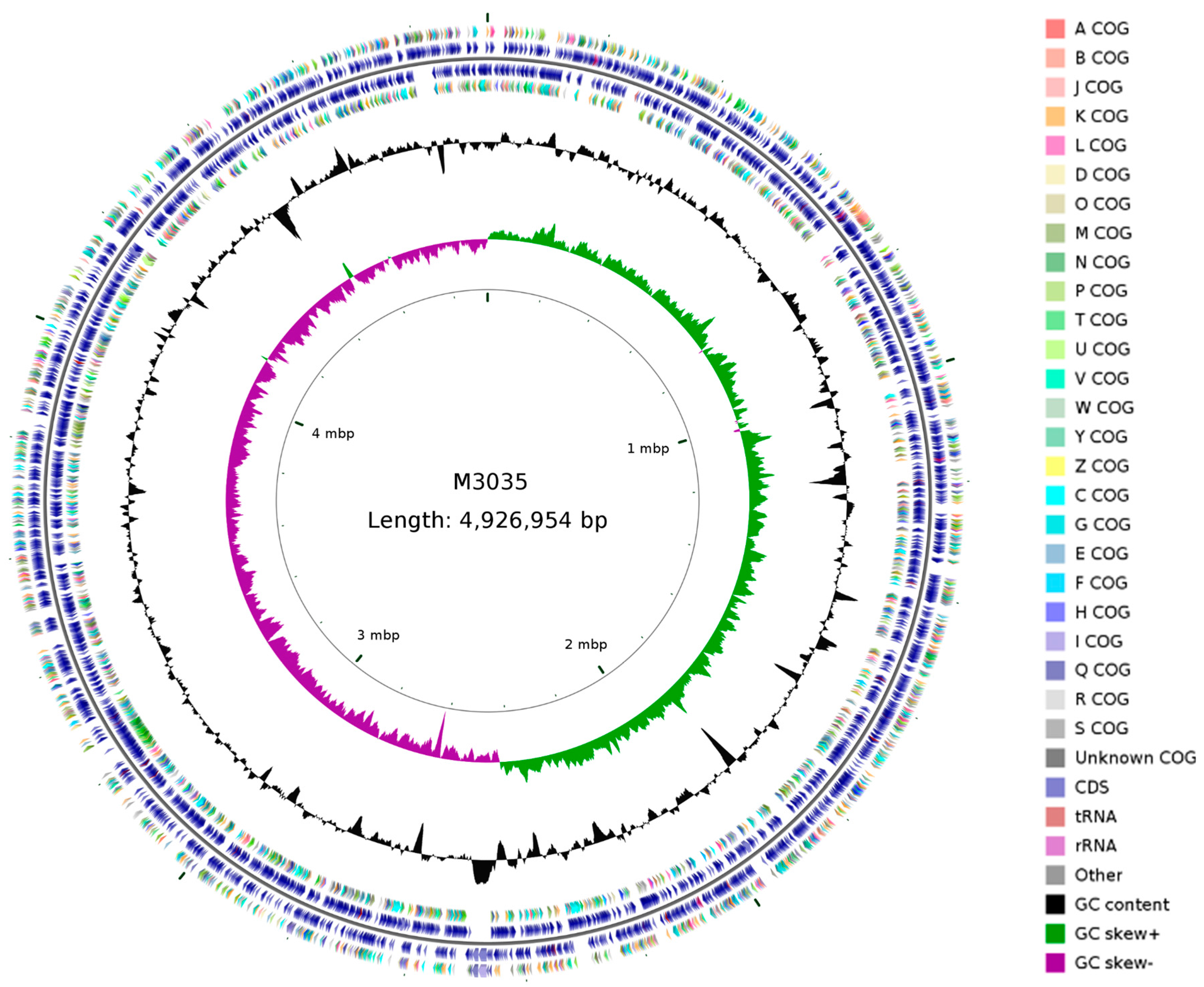 Ijms Free Full Text Induced Salt Tolerance Of Perennial Ryegrass By A Novel Bacterium Strain From The Rhizosphere Of A Desert Shrub Haloxylon Ammodendron Html